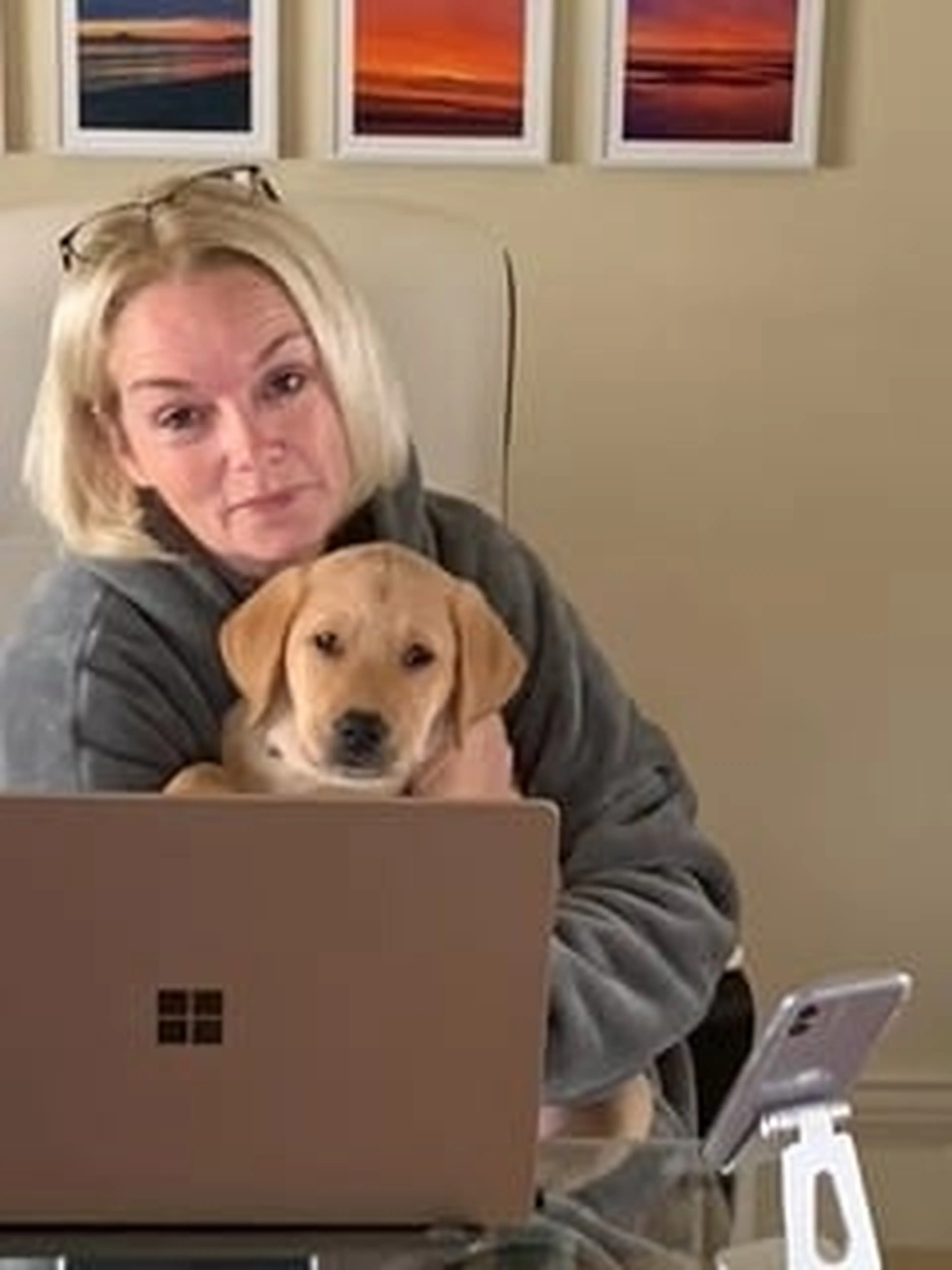 A woman with blonde hair holds a golden retriever while working at a Microsoft Surface laptop, with sunset photographs visible on the wall behind her.