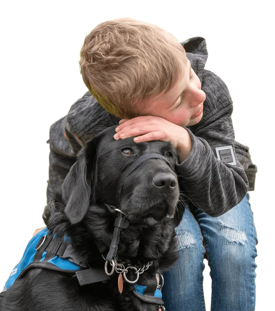 A young child with blonde hair hugs a black Labrador Retriever wearing a blue service vest against a white background.
