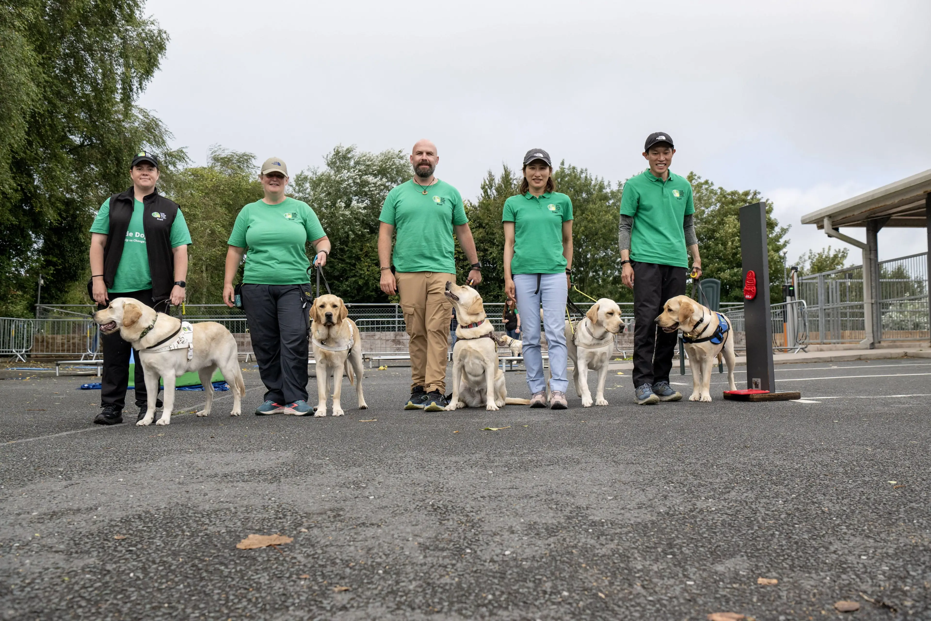 Five people in green shirts stand in a row with guide dogs on leashes, outside on a cloudy day.