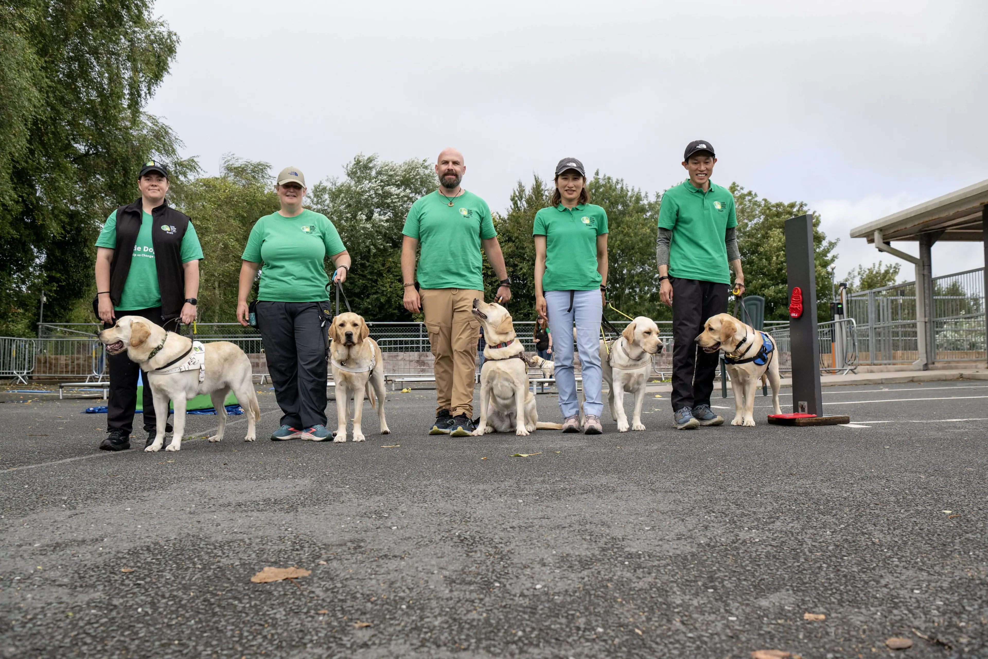 Five people in green shirts stand in a row with guide dogs on leashes, outside on a cloudy day.