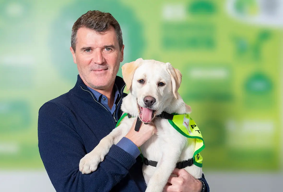 A man in a dark navy sweater holds a white Labrador Retriever wearing a bright green and black service dog vest against a soft green blurred background.