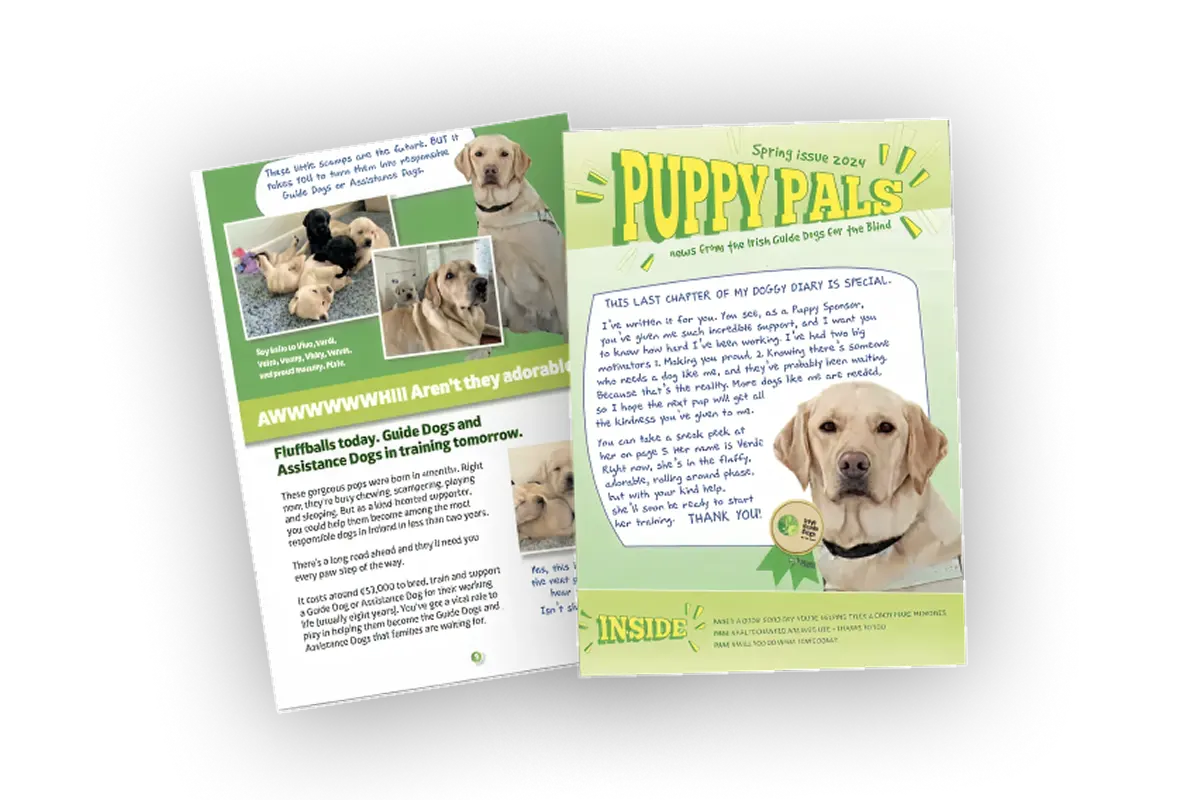 A Spring 2024 issue of "Puppy Pals" magazine featuring stories about Irish Guide Dogs for the Blind, with photos of yellow Labrador puppies in training and articles about their dev