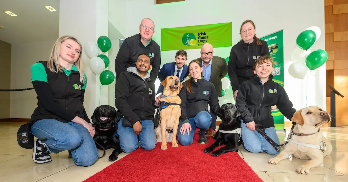 This image shows a group of people, including staff members of Irish Guide Dogs for the Blind, posing with several guide dogs in a room decorated with green balloons and a banner.