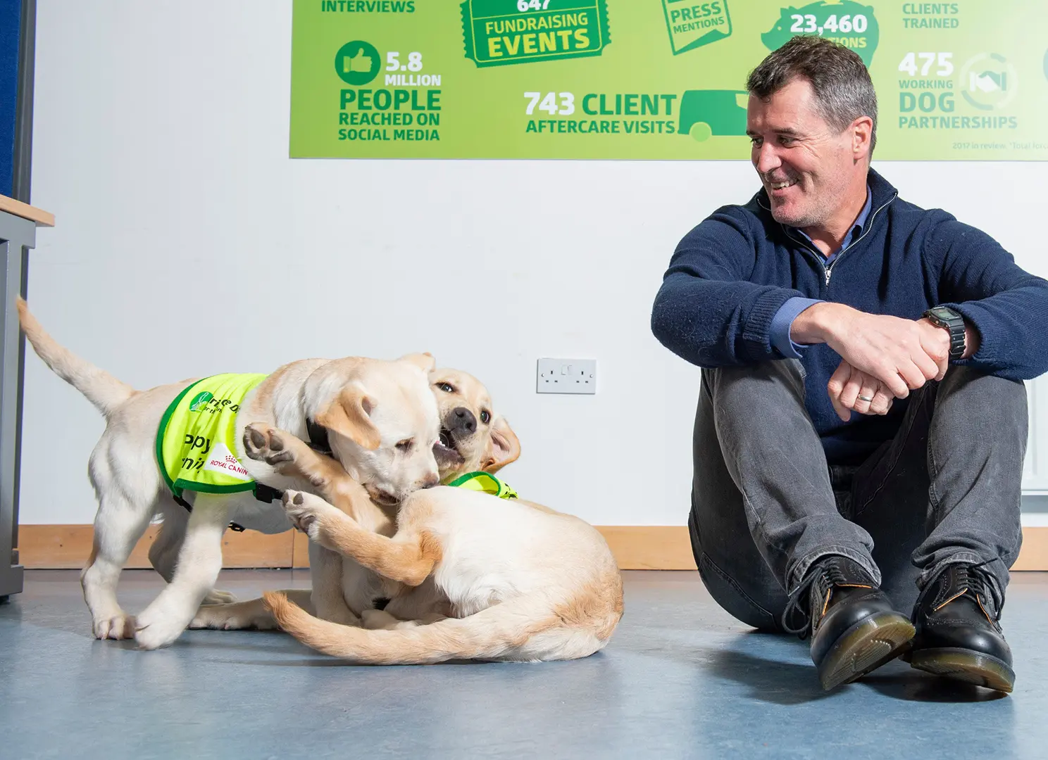 A man in a navy sweater sits on the floor interacting with two yellow Labrador assistance dogs wearing green vests in front of an infographic displaying charity statistics.