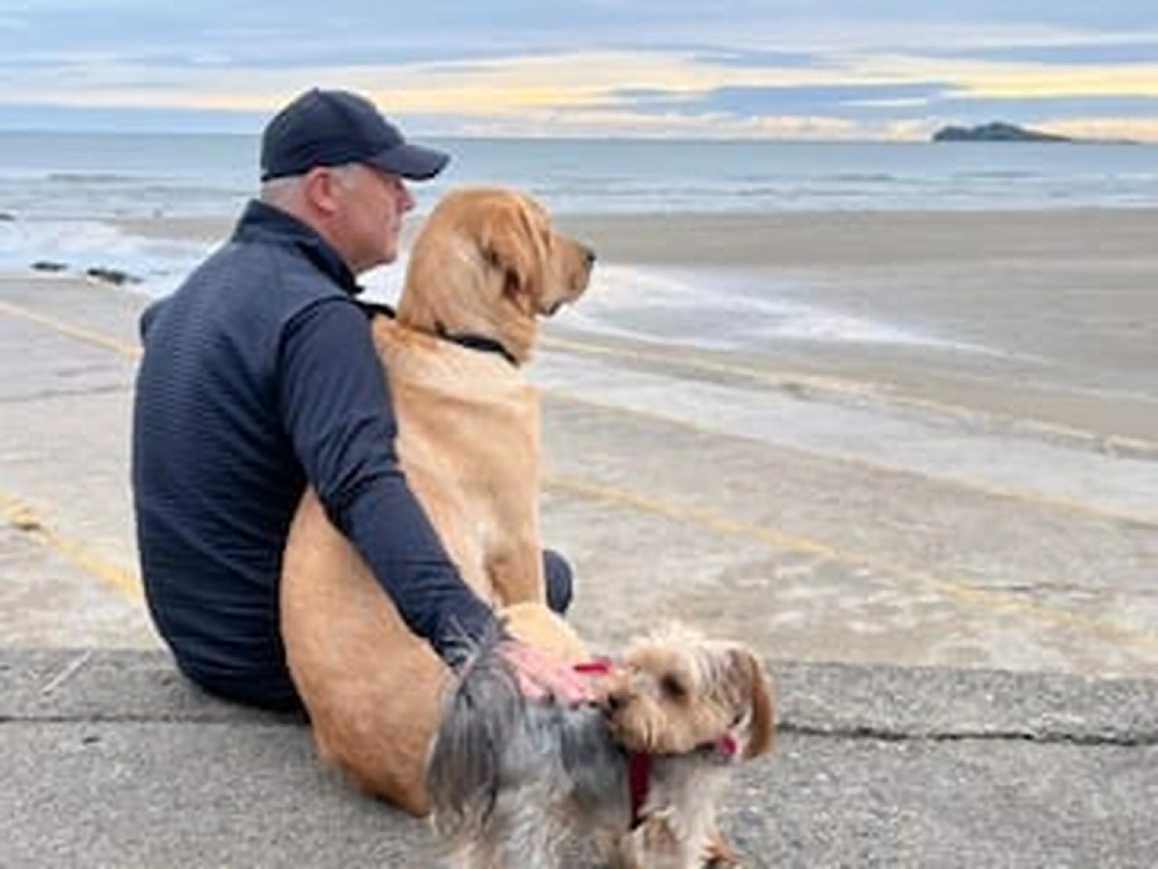 A man sitting on a beach with two dogs, one large brown dog and one smaller gray and white dog, facing the ocean at sunset.