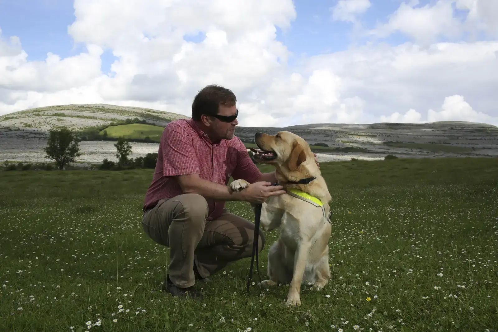 A man wearing sunglasses and a pink checkered shirt crouches beside a yellow Labrador Retriever wearing a yellow-green vest in a grassy meadow dotted with white flowers, with hills