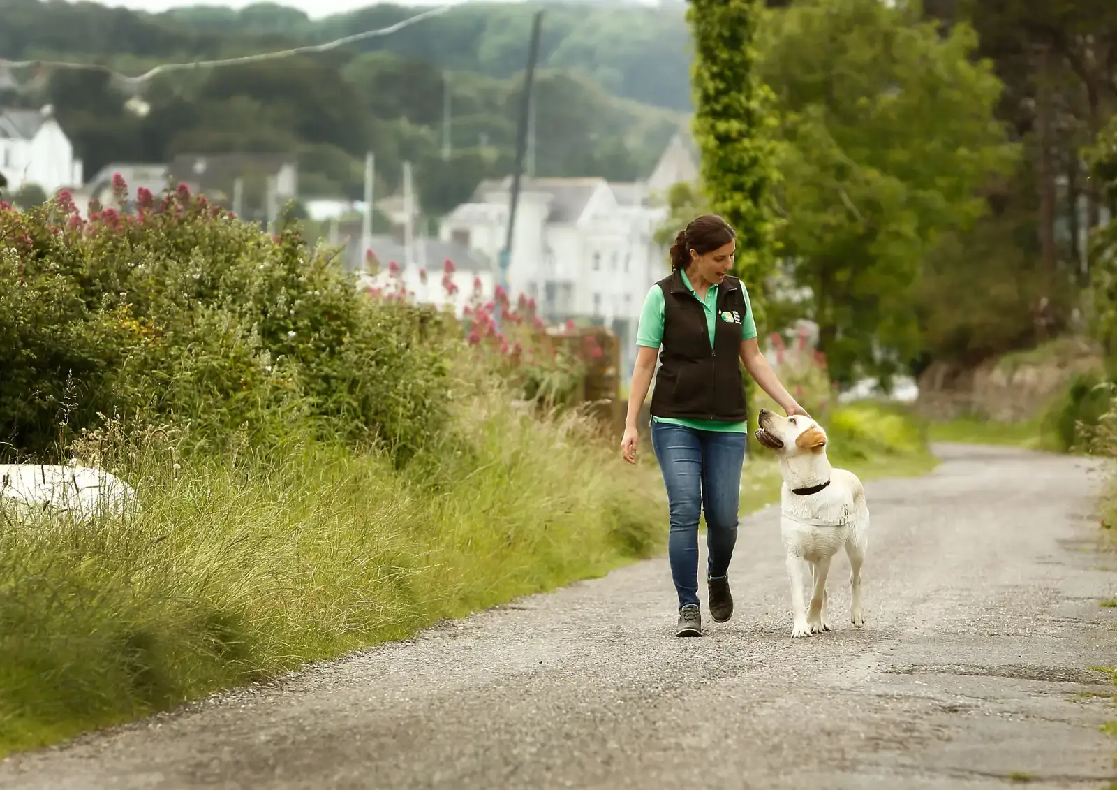 A woman in a black and green vest jogs along a rural country lane with a white and brown dog beside her, surrounded by green hedges and distant white houses.