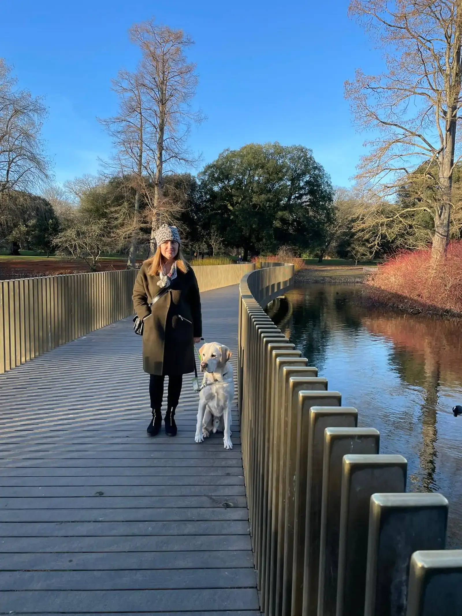 A woman in a tan coat and beanie walks with a yellow Labrador on a wooden boardwalk bridge over a calm river, surrounded by bare and evergreen trees on a clear day.