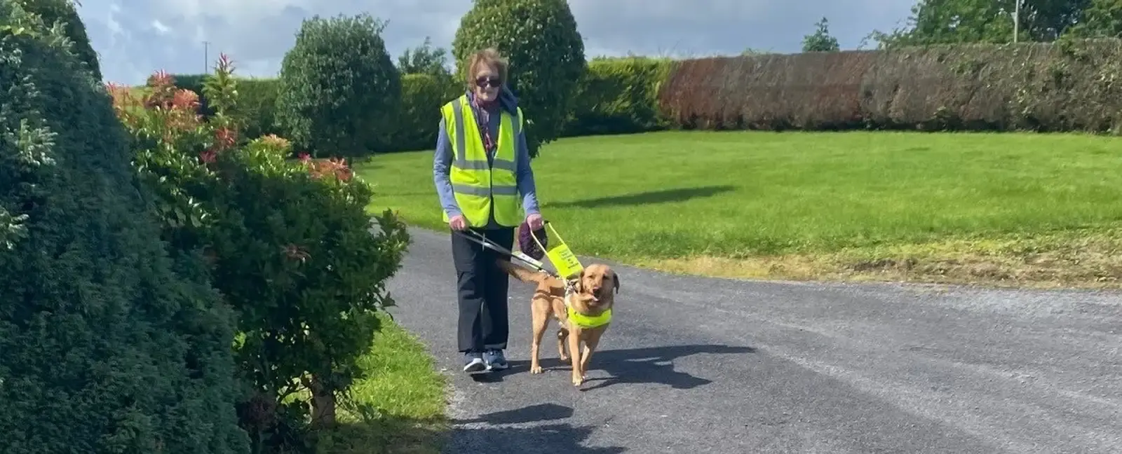 A person wearing a bright yellow safety vest and sunglasses walks a brown dog wearing a matching yellow vest along a tree-lined path with green fields in the background.