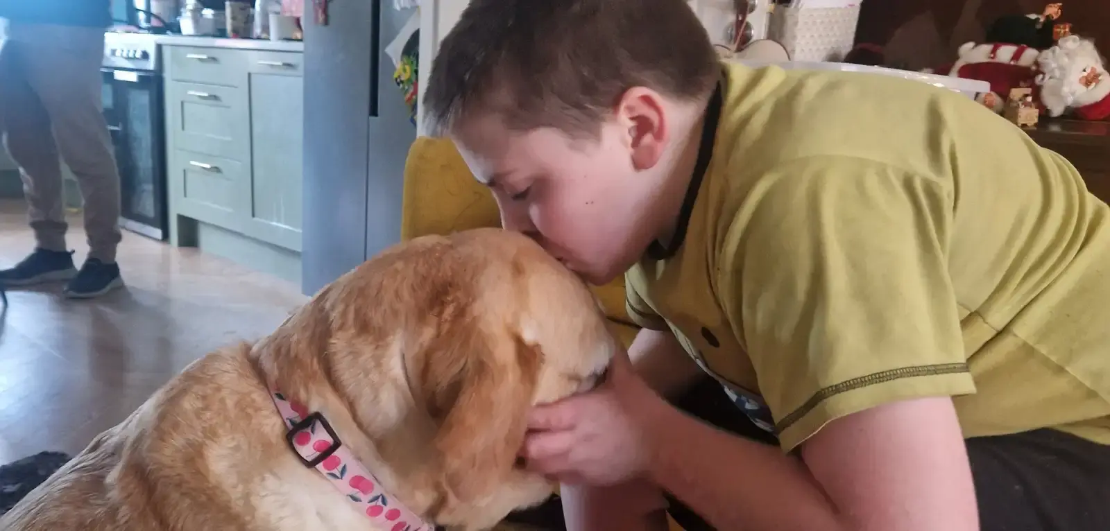 A young boy in a yellow shirt smiles while hugging a brown dog wearing a colorful collar in a kitchen setting.
