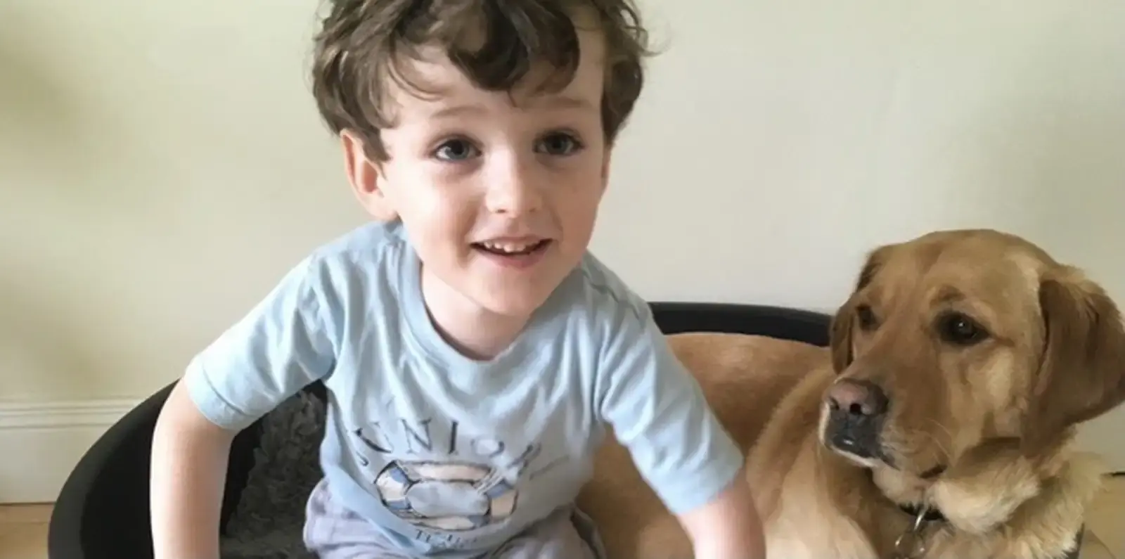A young boy in a light blue t-shirt smiles at the camera while sitting next to a brown Labrador dog.