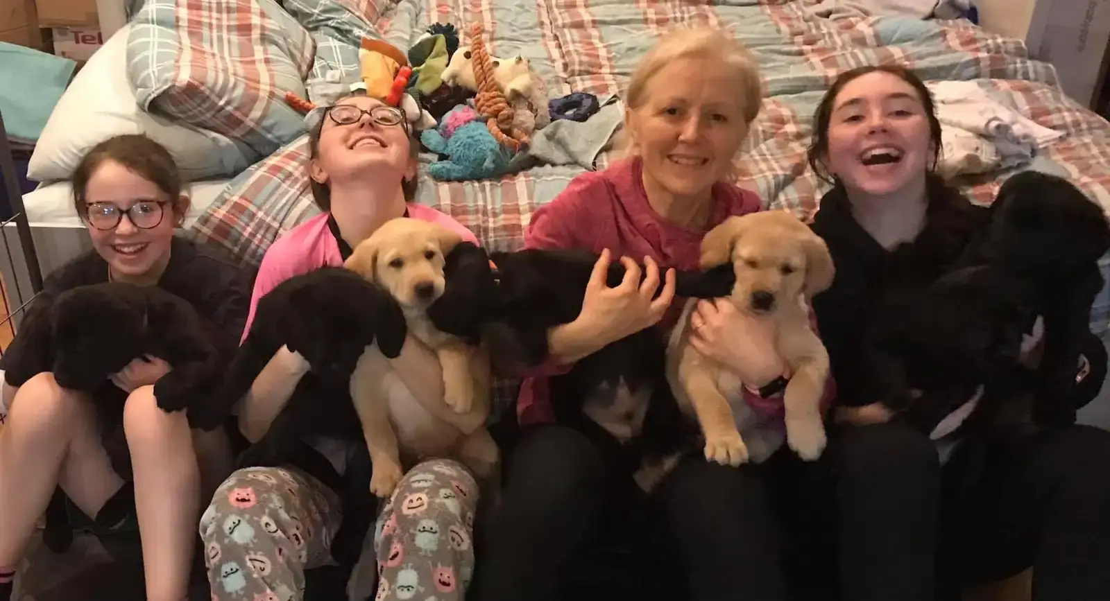 A group of smiling children and adults sit together on a bed holding multiple puppies and dogs.