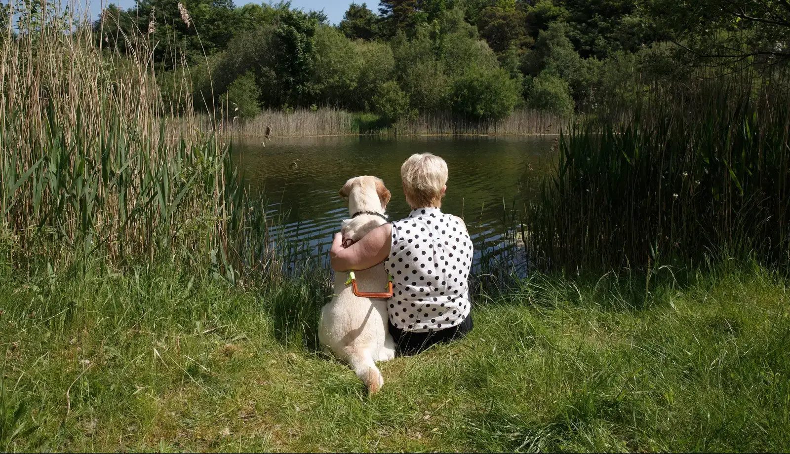 # Alt Text A child in a polka dot shirt sits by a lake with a white dog, both gazing at the water surrounded by reeds and trees.