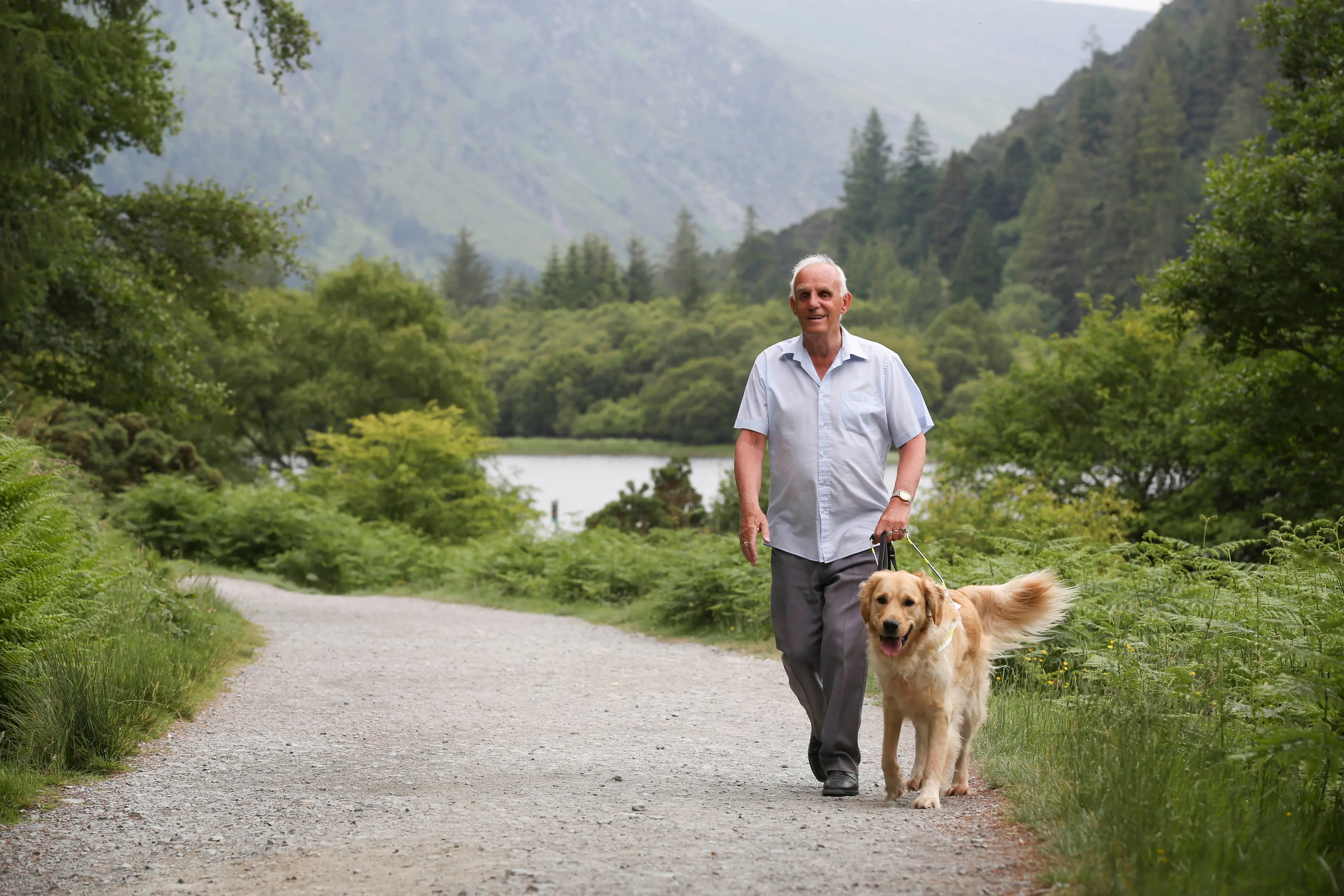 An elderly man with short gray hair and a smile is walking his golden retriever dog on a dirt path surrounded by lush green vegetation and a lake in the background.