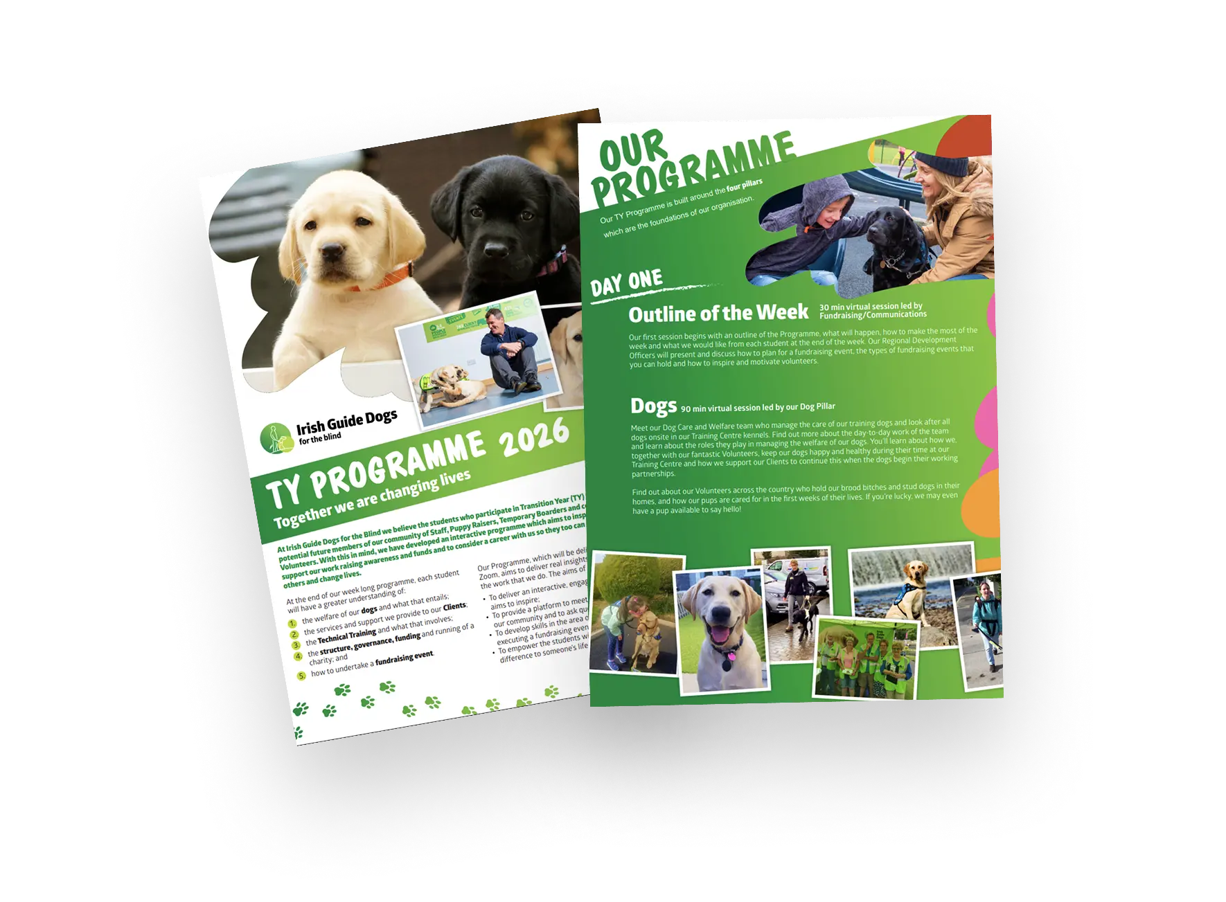 A brochure for Irish Guide Dogs for the Blind's 2026 TY Programme features guide dogs, program details, and photos of participants engaged in training and community activities.