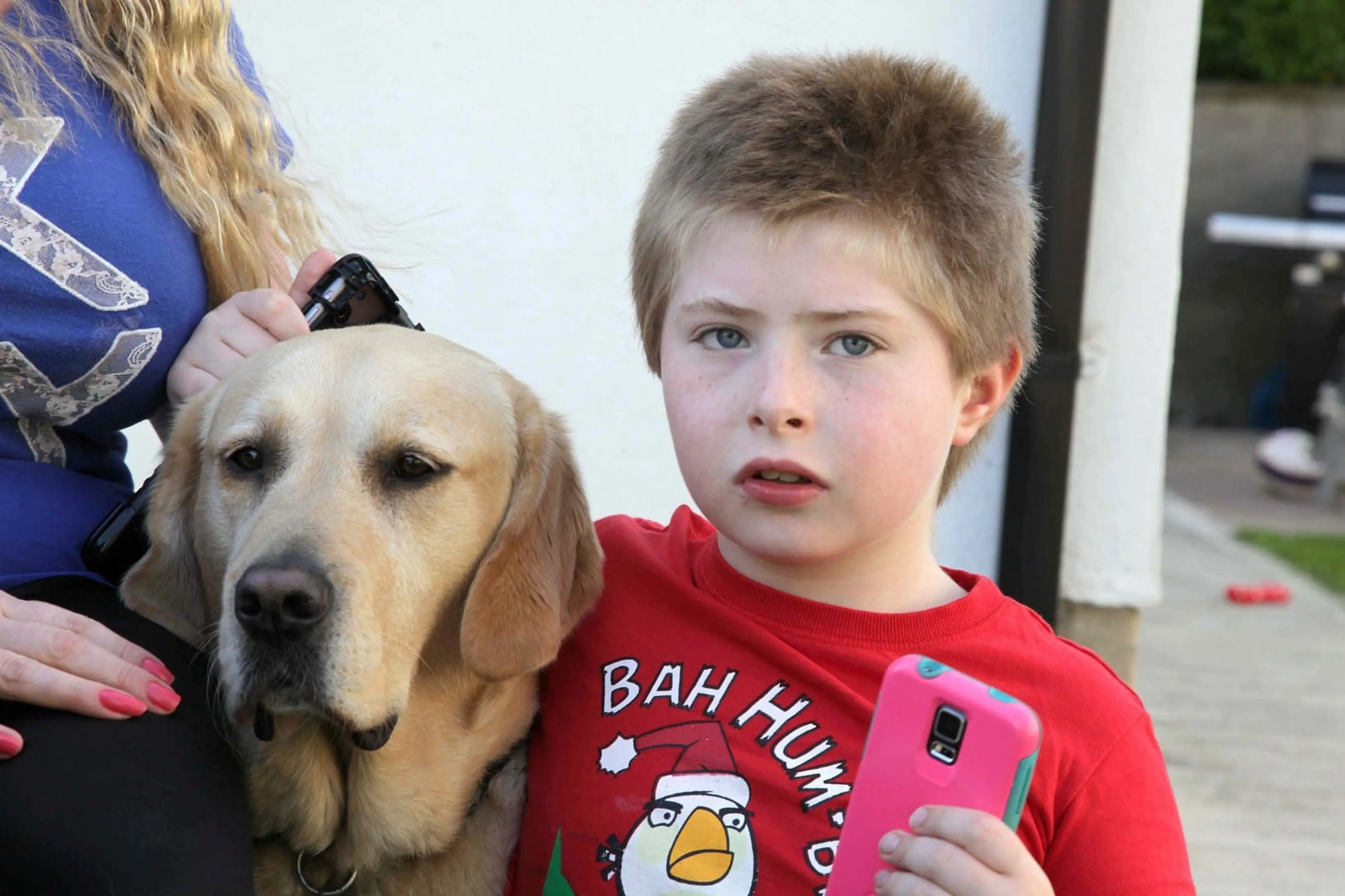 A young boy in a red "Bah Hum" Christmas sweater stands next to a yellow Labrador Retriever while holding a pink mobile device, as a woman in blue beside him takes a photo.