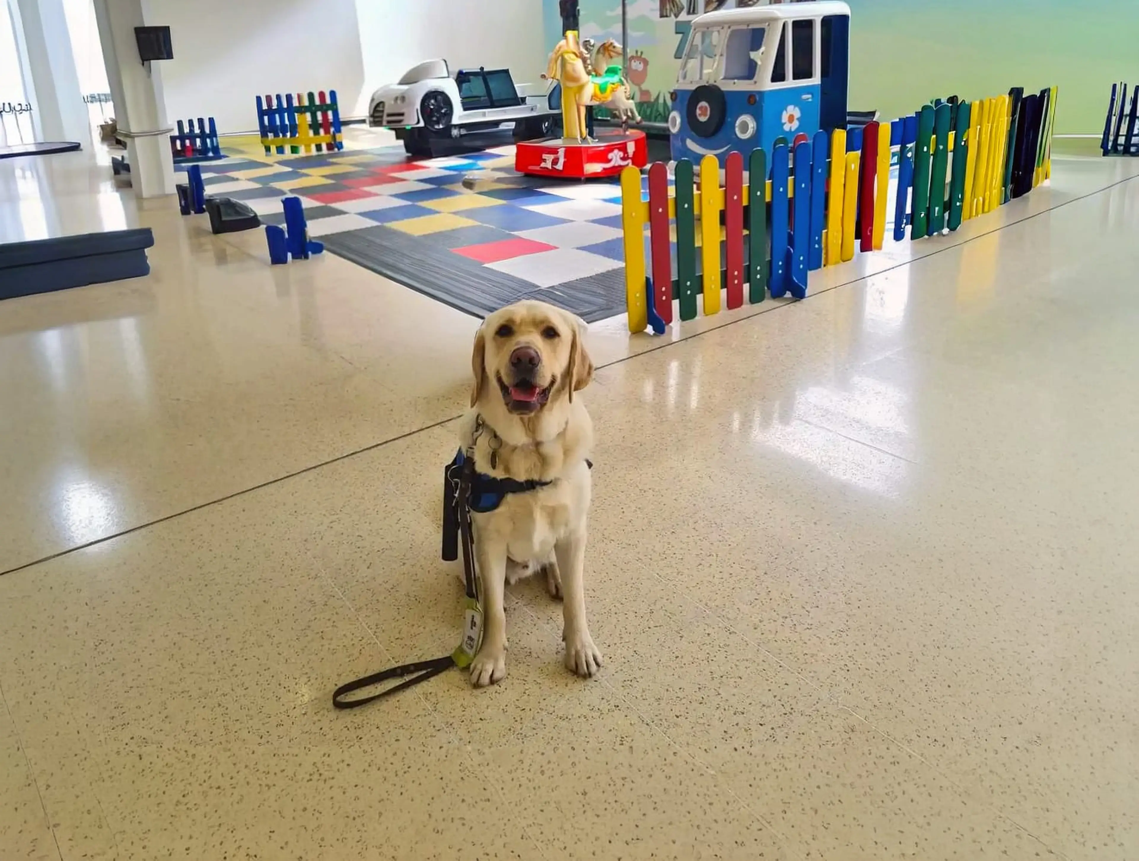 A yellow Labrador service dog sits attentively on a polished floor in a children's play area with colorful toy vehicles and fences.