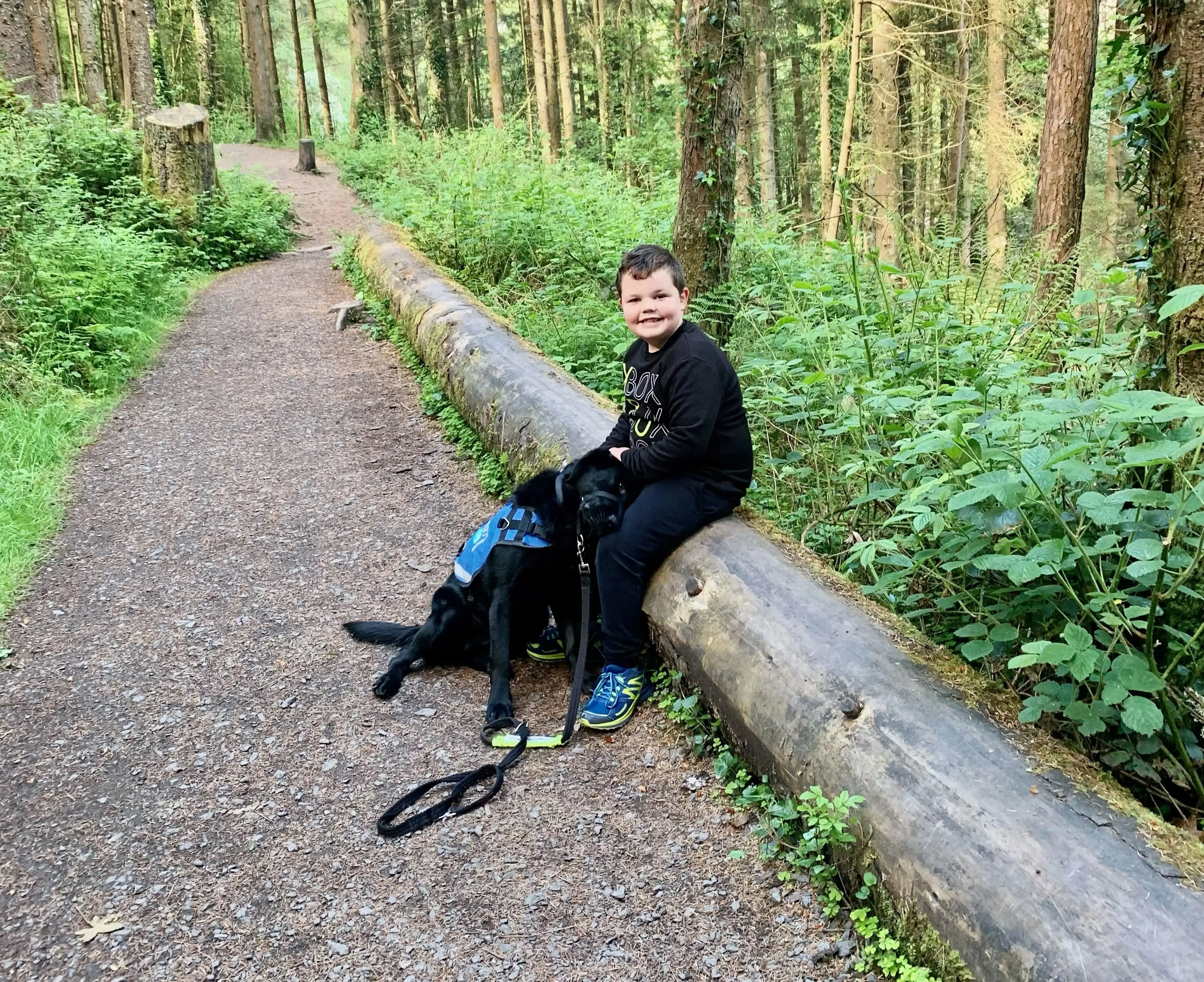 A young child in a black shirt sits on a fallen log in a lush forest trail, smiling at the camera while holding the leash of a black dog wearing a blue harness.