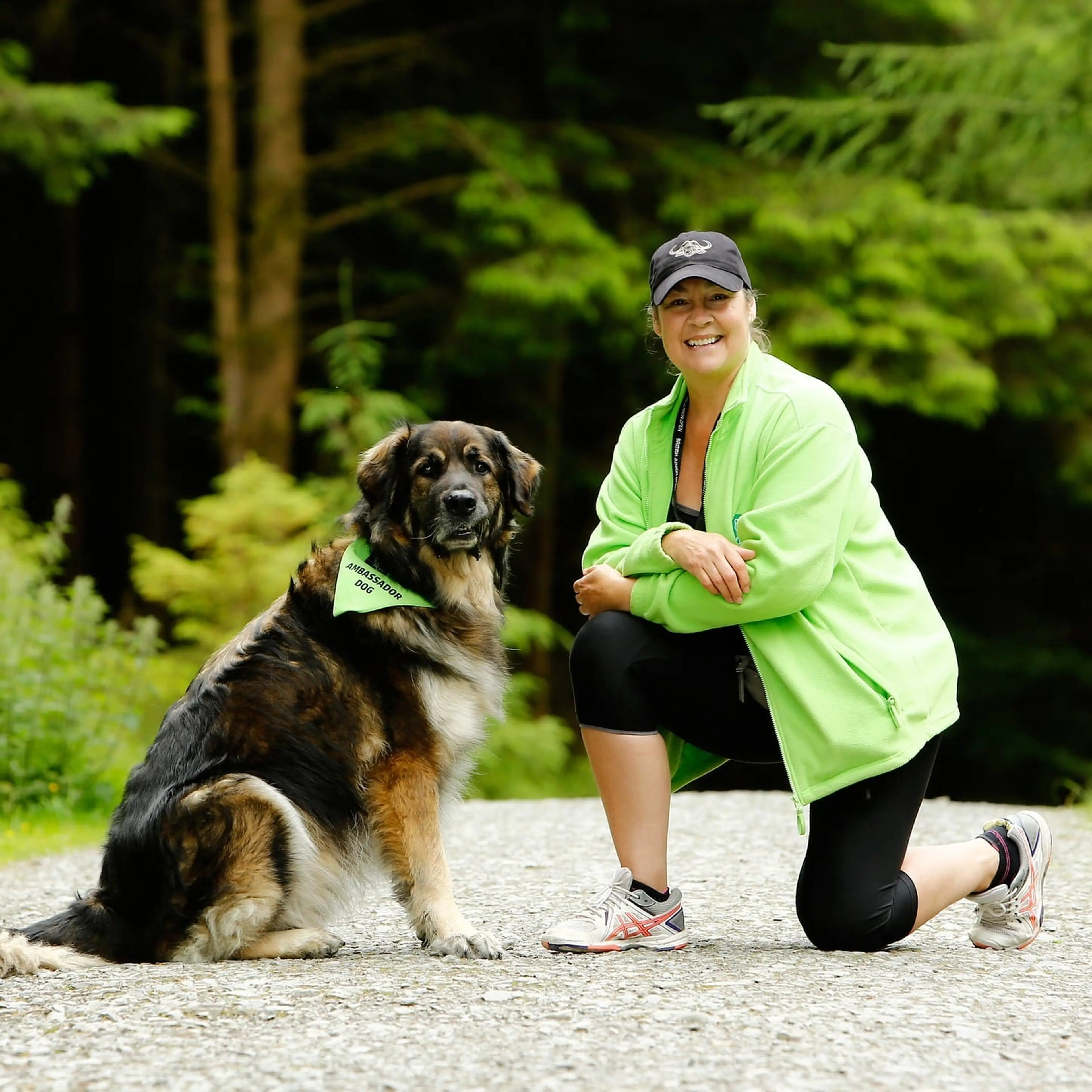 Woman in a green jacket kneels beside a large dog wearing a similar green bandana which says "ambassador dog" on it, they are in a forest setting with a gravel path.