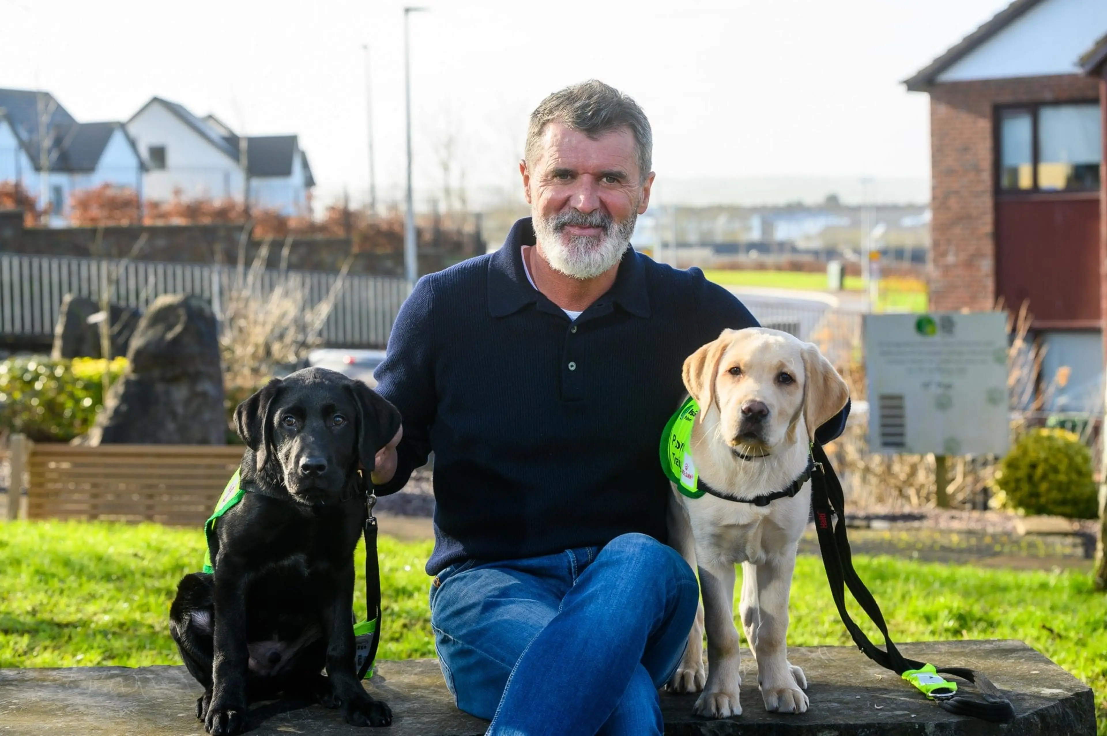 The image shows an older man with a gray beard sitting outdoors and smiling while holding the leashes of two service dogs, a black Labrador and a golden retriever, who are also wea