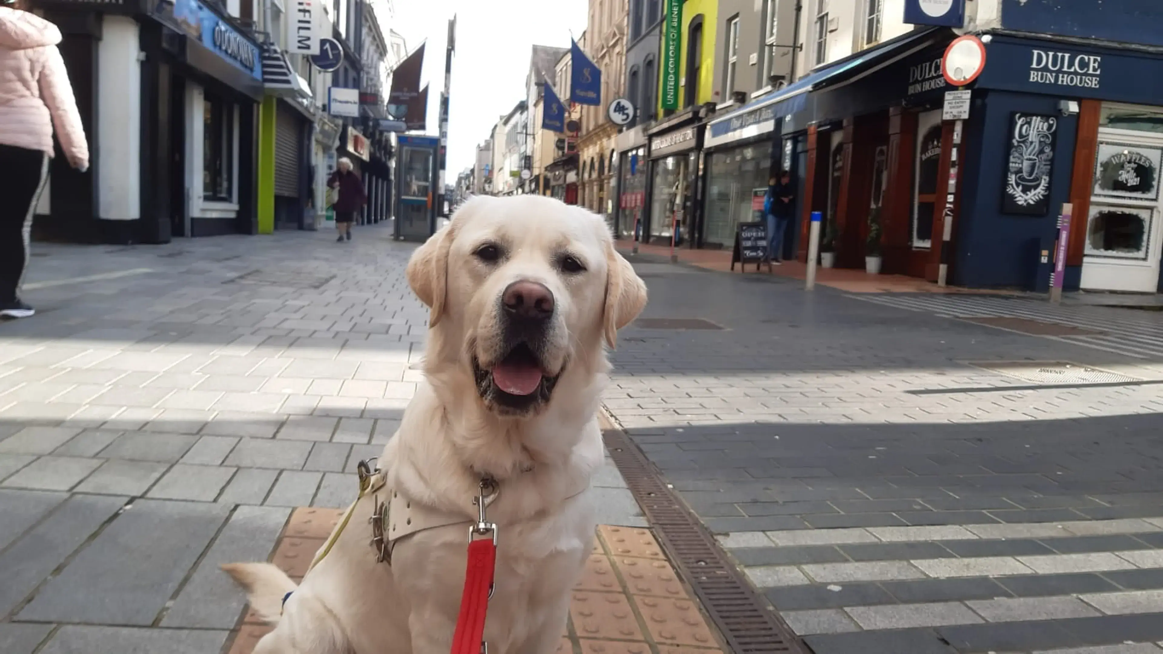 A cream-colored Labrador Retriever wearing a red leash sits on a pedestrian shopping street lined with storefronts and buildings.