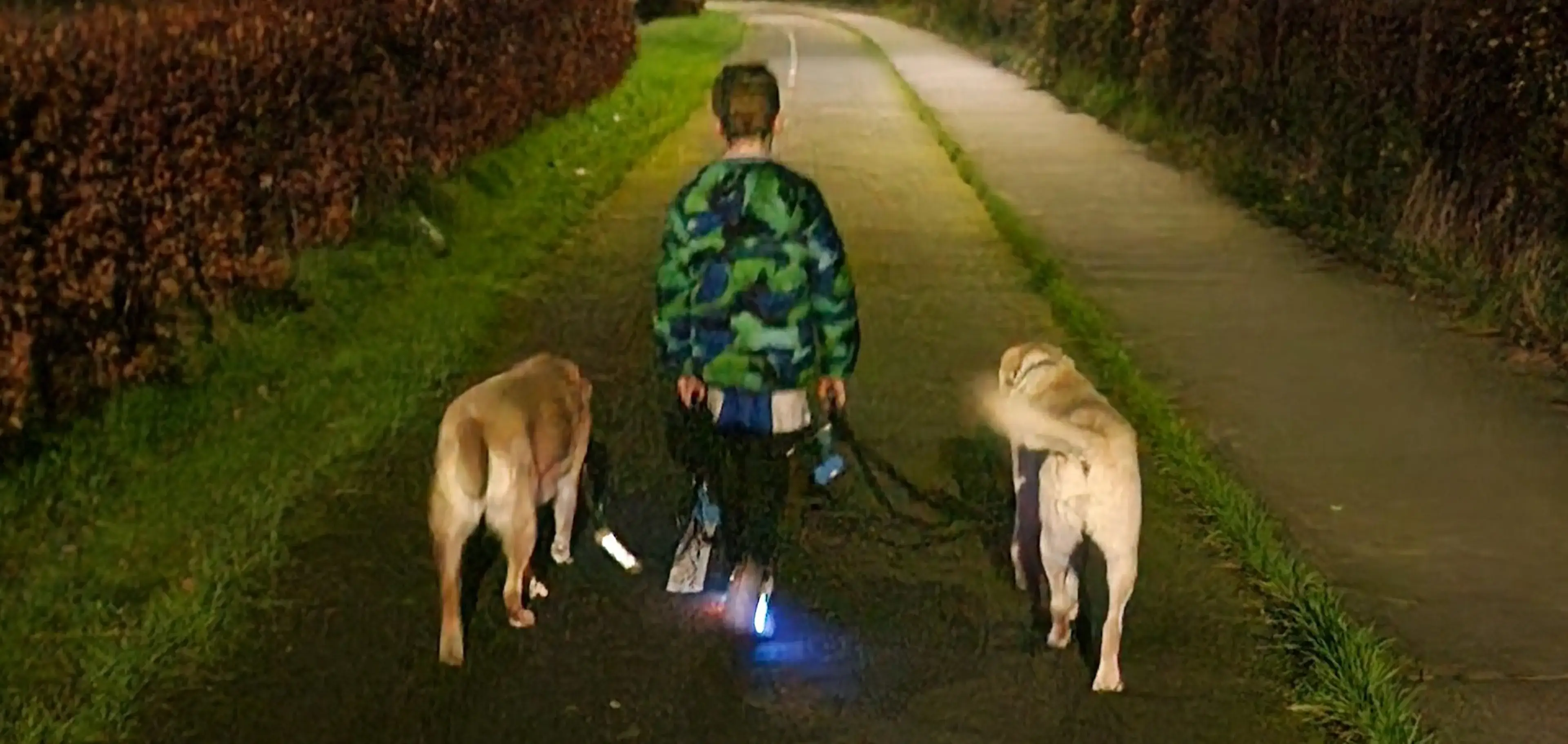 A person wearing a green and blue camouflage jacket walks down a tree-lined rural road at night while walking two dogs on either side.