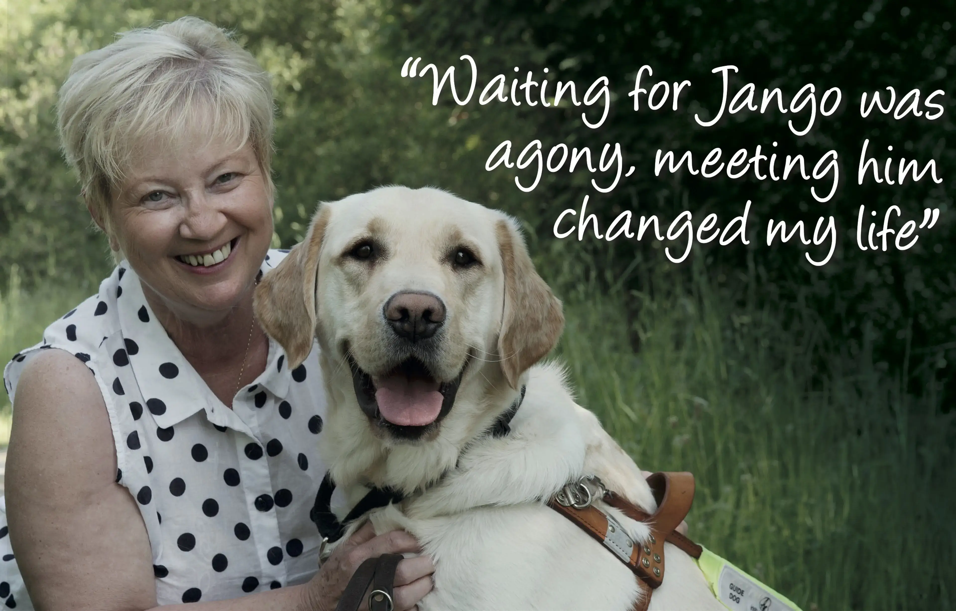 A smiling woman in a polka-dot shirt poses outdoors with a light-colored Labrador retriever wearing a brown harness, accompanied by the quote "Waiting for Tango was agony, meeting 