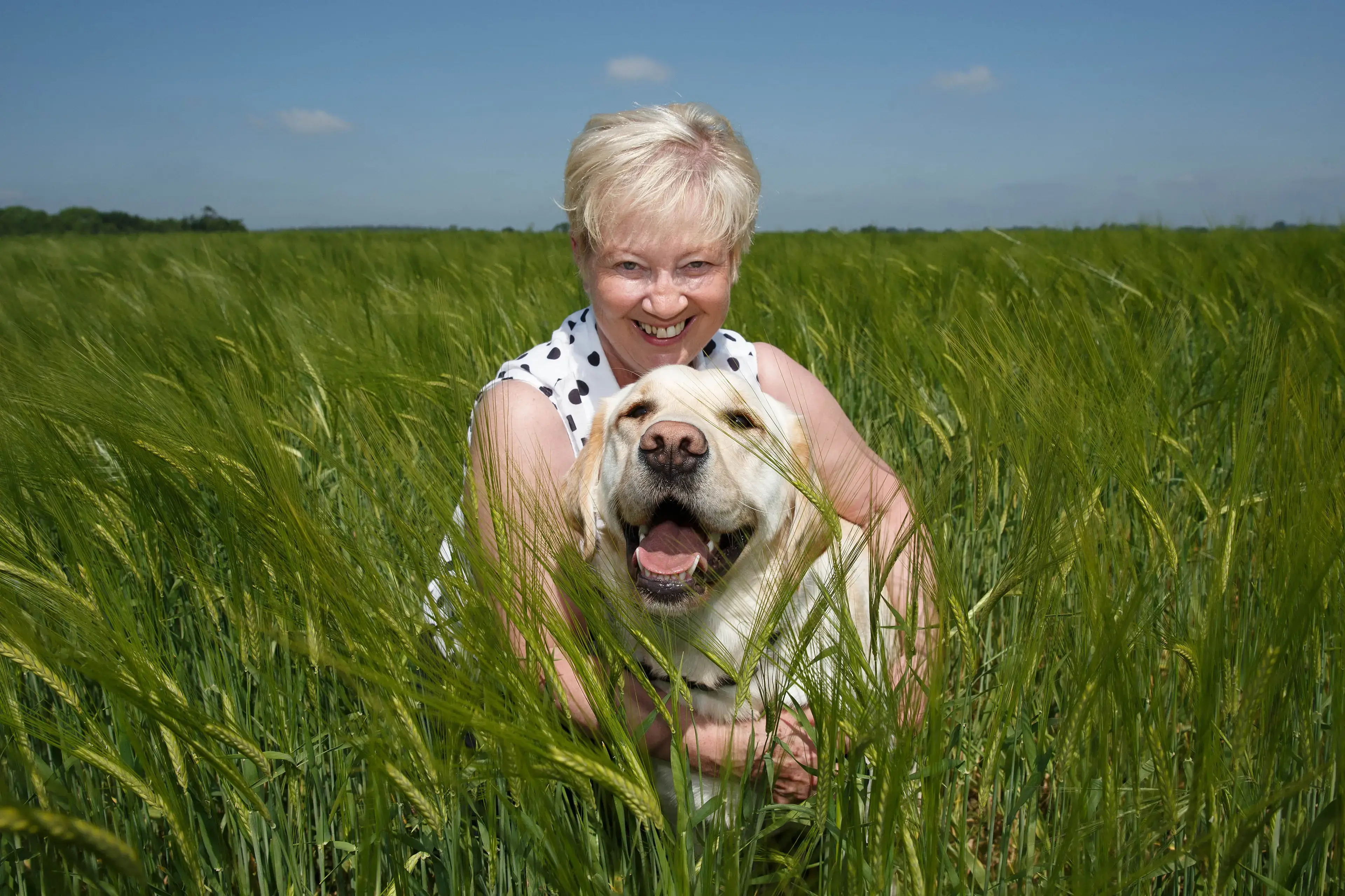 A woman with short white hair smiles while posing in a green grain field with her yellow Labrador Retriever, both appearing happy and relaxed outdoors.