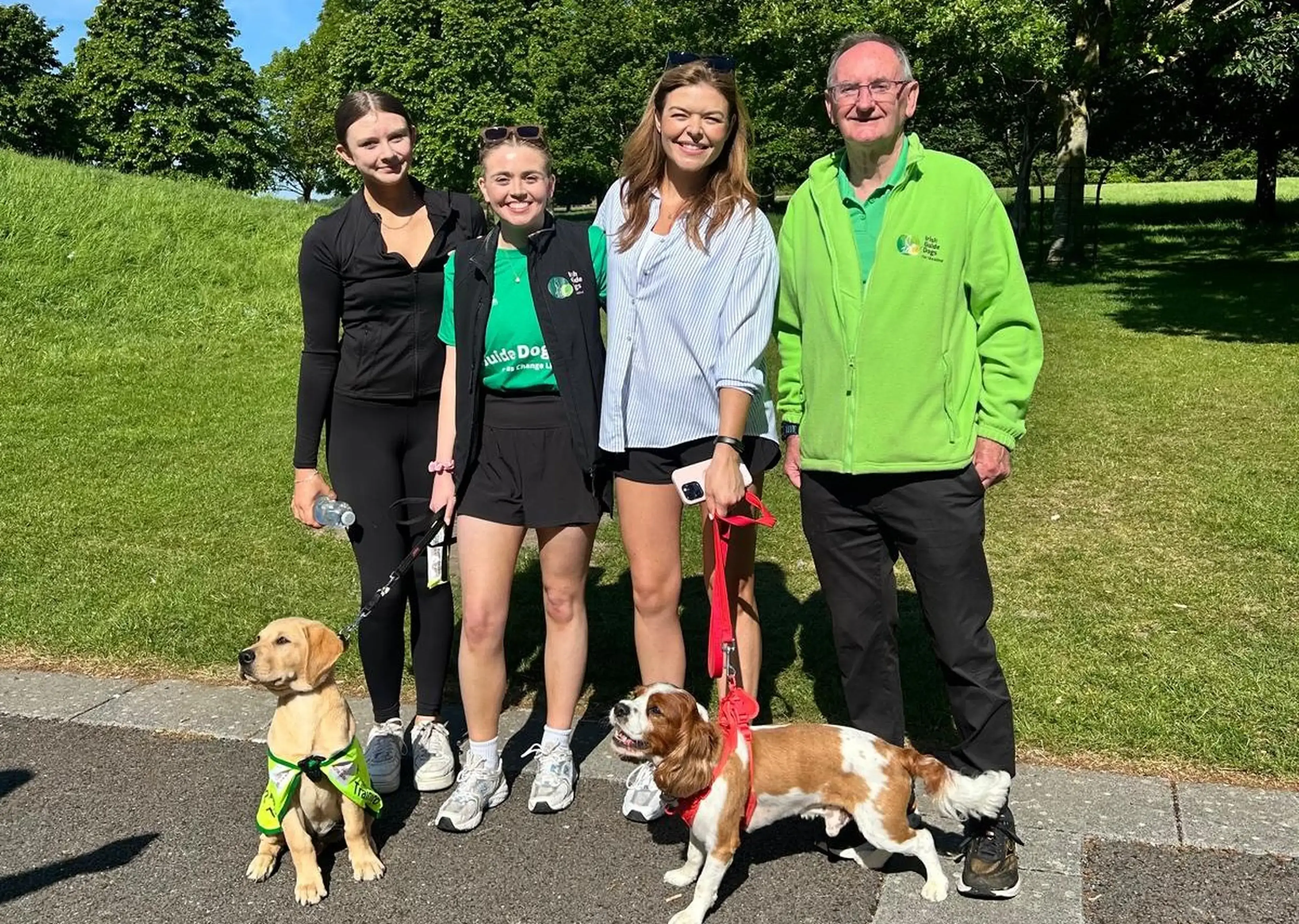 Four people stand together in a park on a sunny day with two dogs on leashes—a yellow Labrador wearing a green vest and a brown-and-white spaniel on a red lead.
