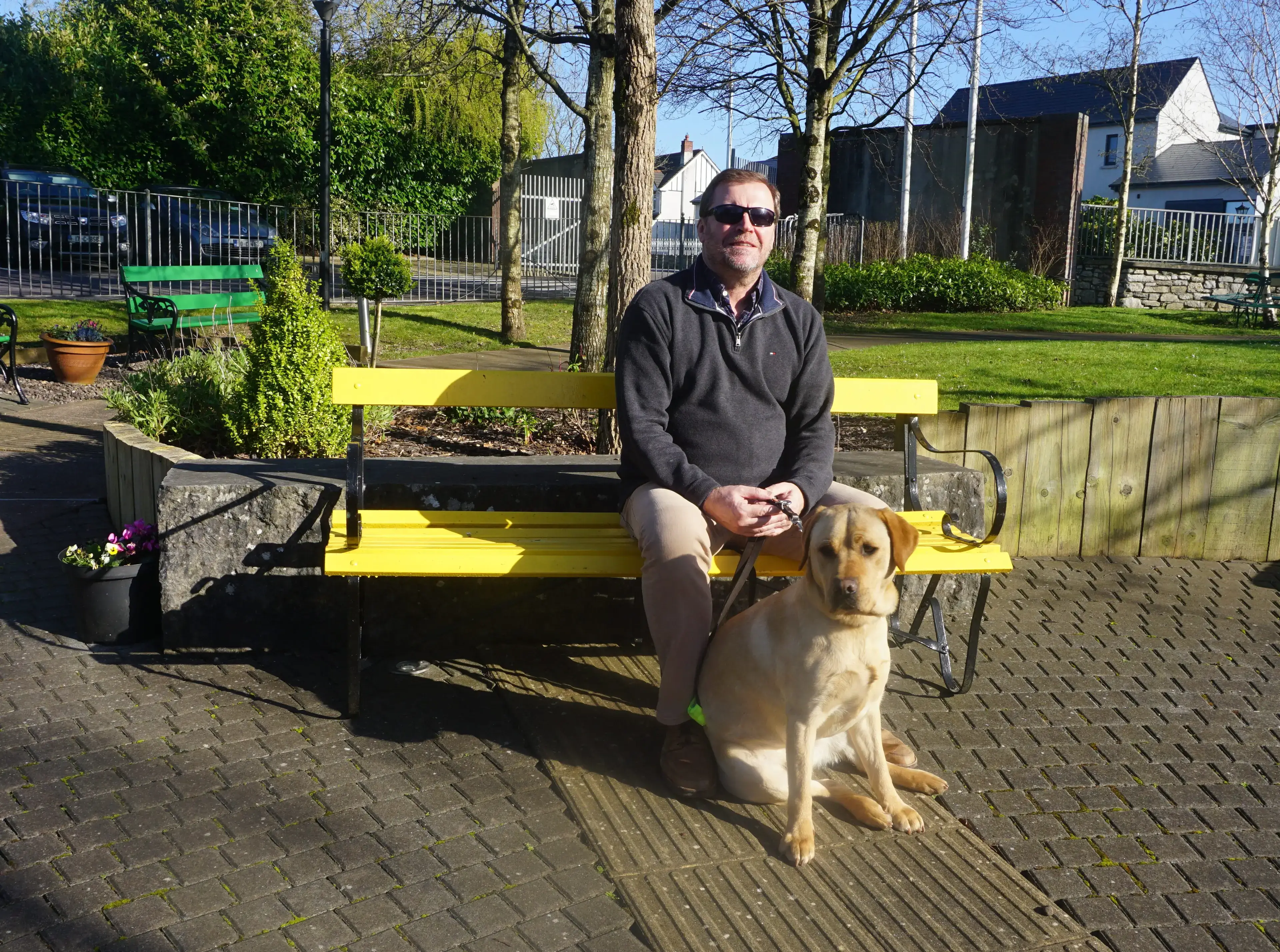 A man wearing sunglasses and dark clothing sits on a bright yellow park bench next to a yellow Labrador Retriever in a public park with trees, grass, and residential houses visible