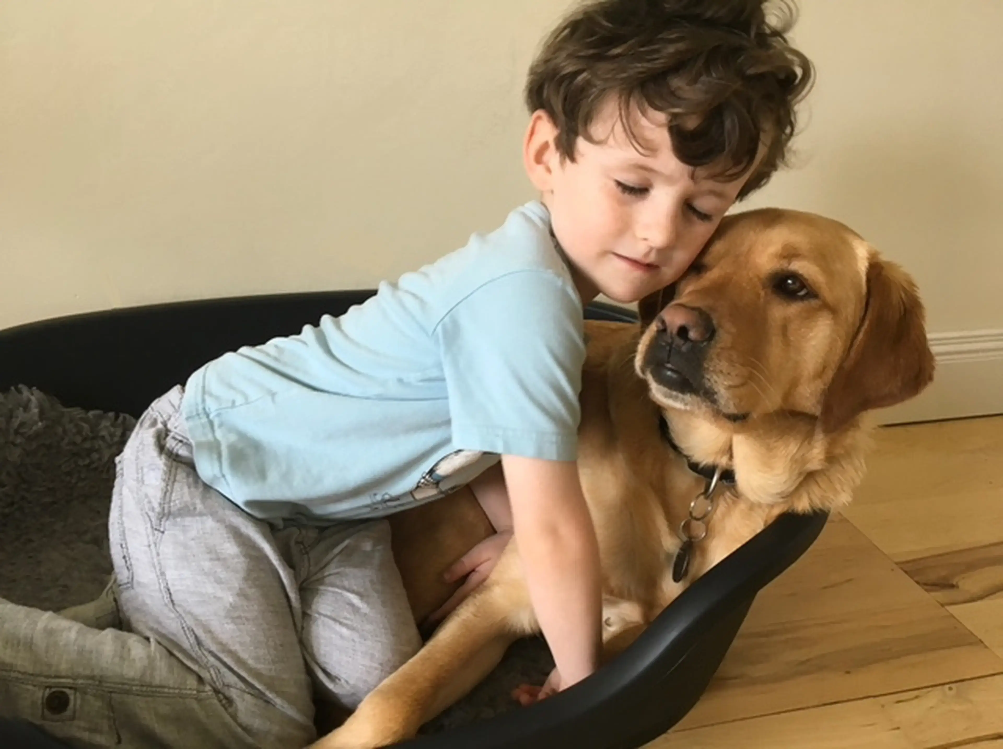 A young child in a light blue shirt sits on a couch next to a brown Labrador Retriever, gently hugging the dog while looking down affectionately.