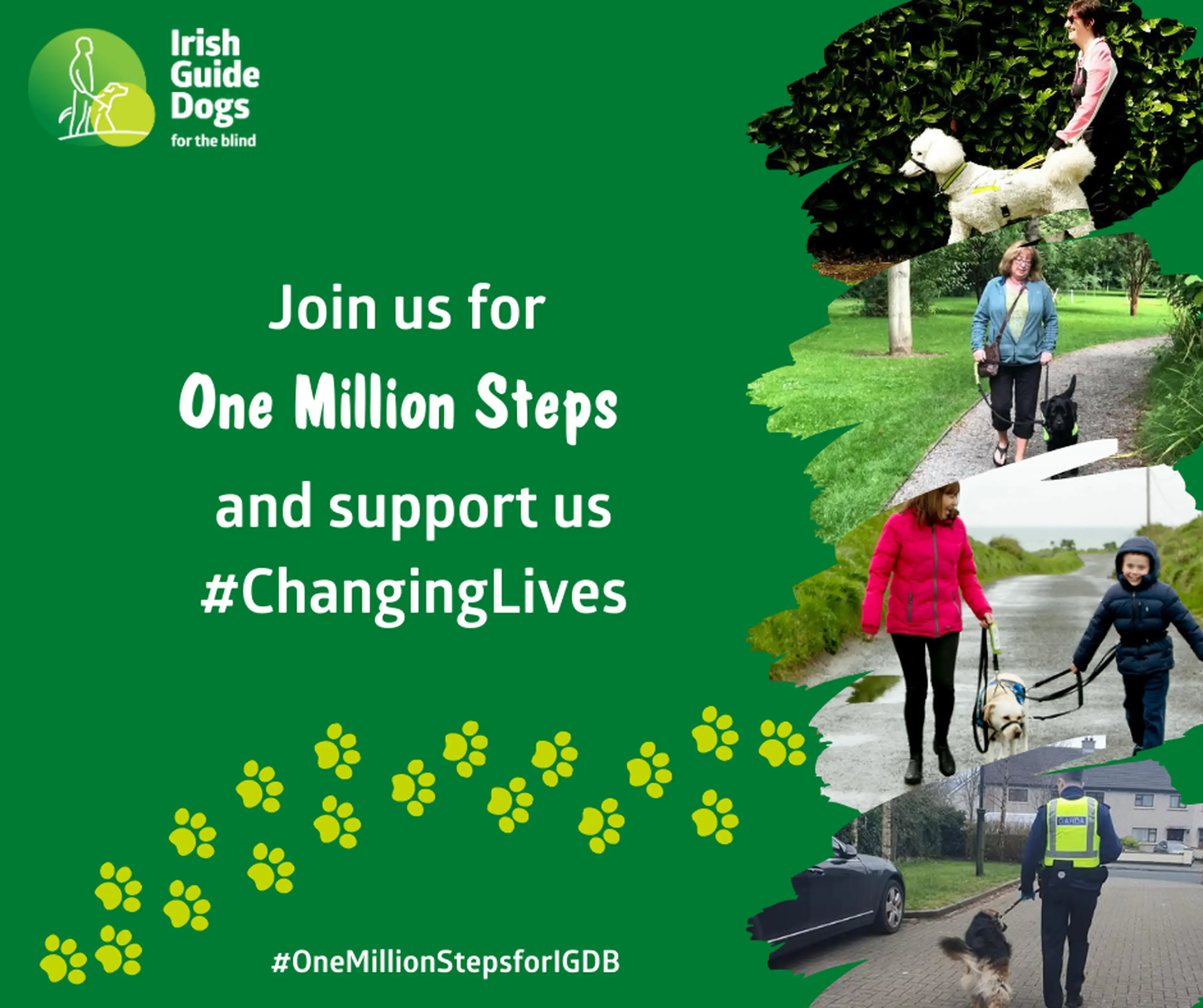 # Alt Text A promotional poster for Irish Guide Dogs for the Blind's "One Million Steps" campaign featuring photos of guide dog handlers walking with their dogs in various outdoor 