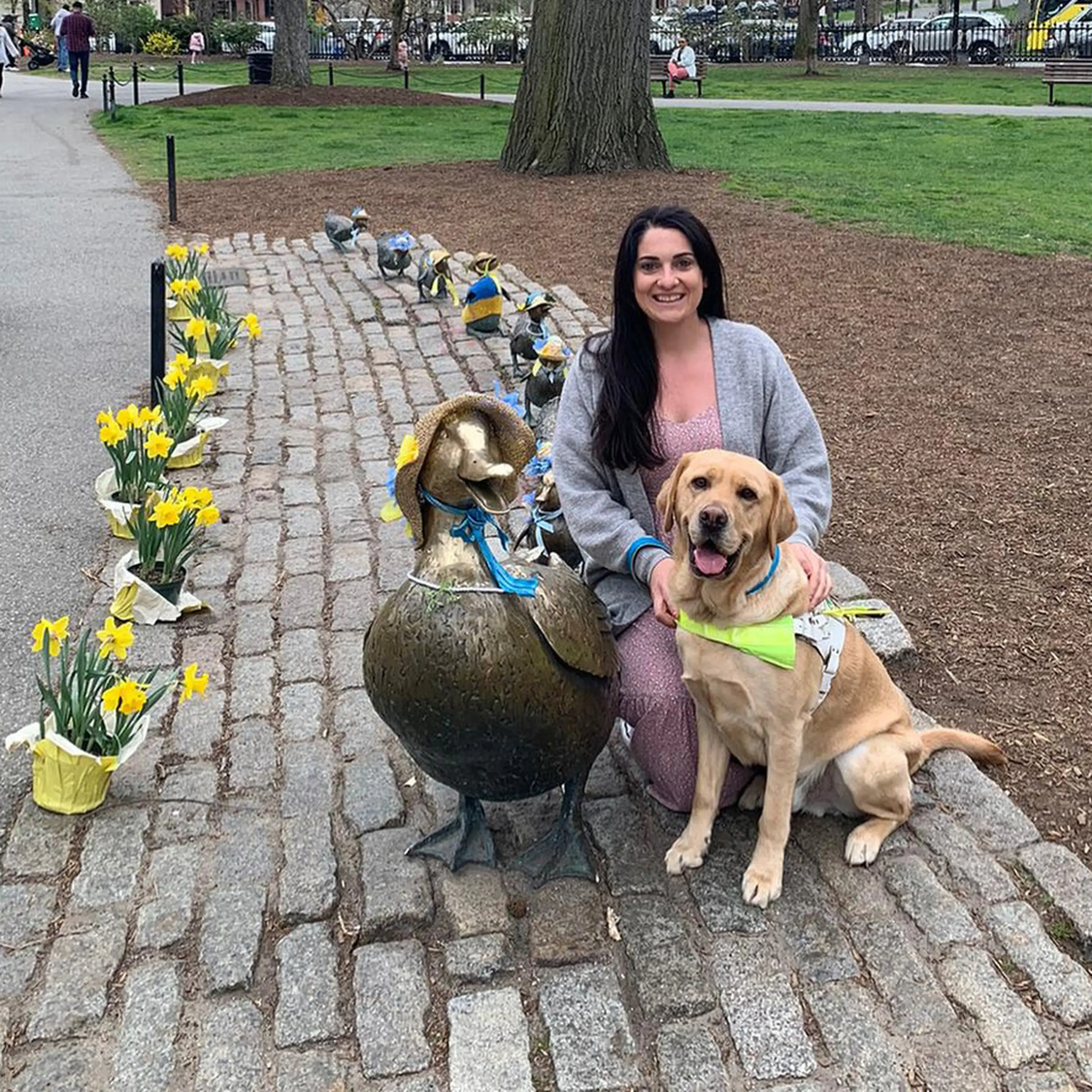 A woman smiles while posing with a yellow Labrador Retriever wearing a green bandana next to a bronze duck statue adorned with a blue ribbon, surrounded by yellow daffodils in a pu