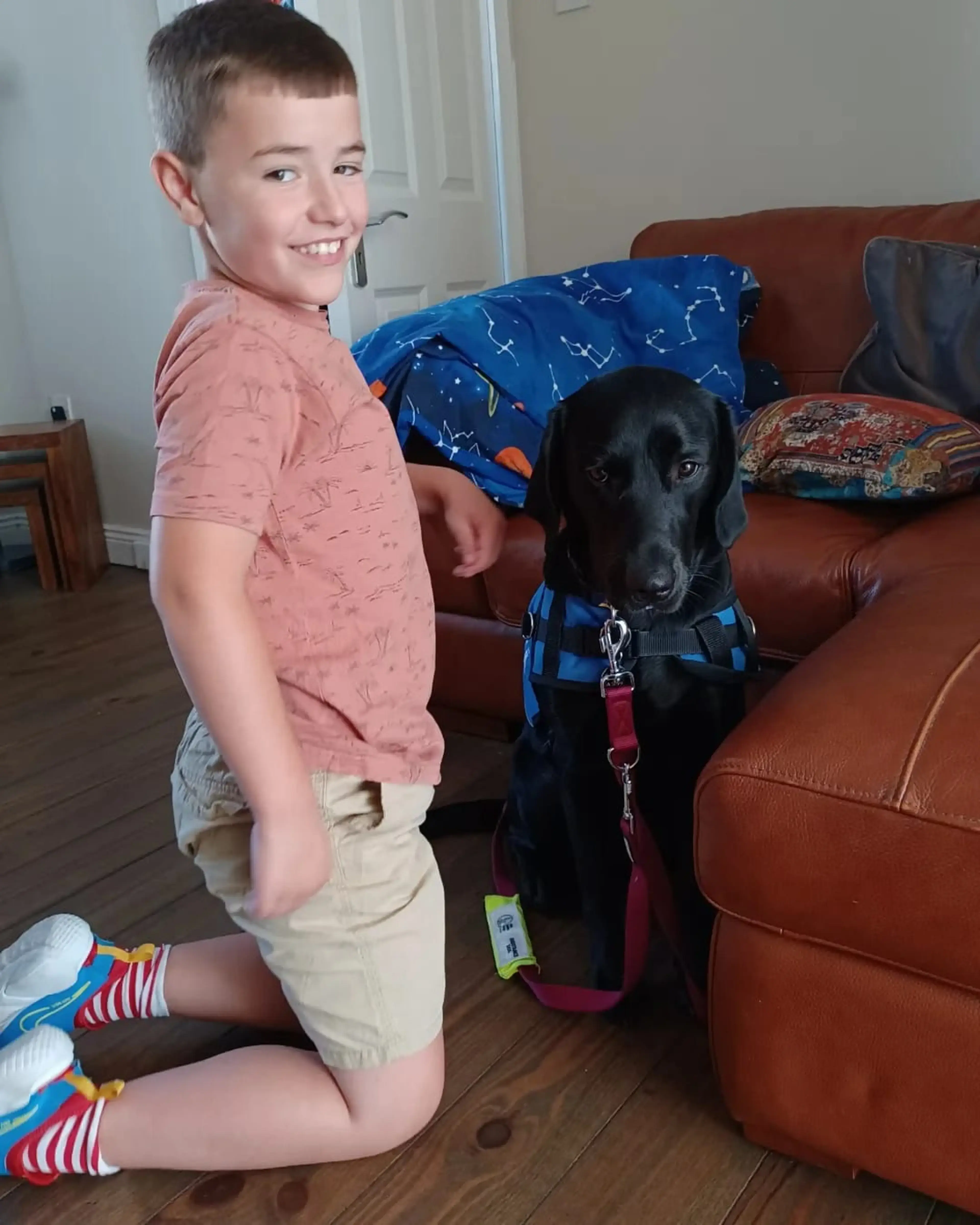A young boy in a pink shirt and khaki shorts sits on a brown leather couch next to a black dog wearing a blue harness and leash, both smiling at the camera.