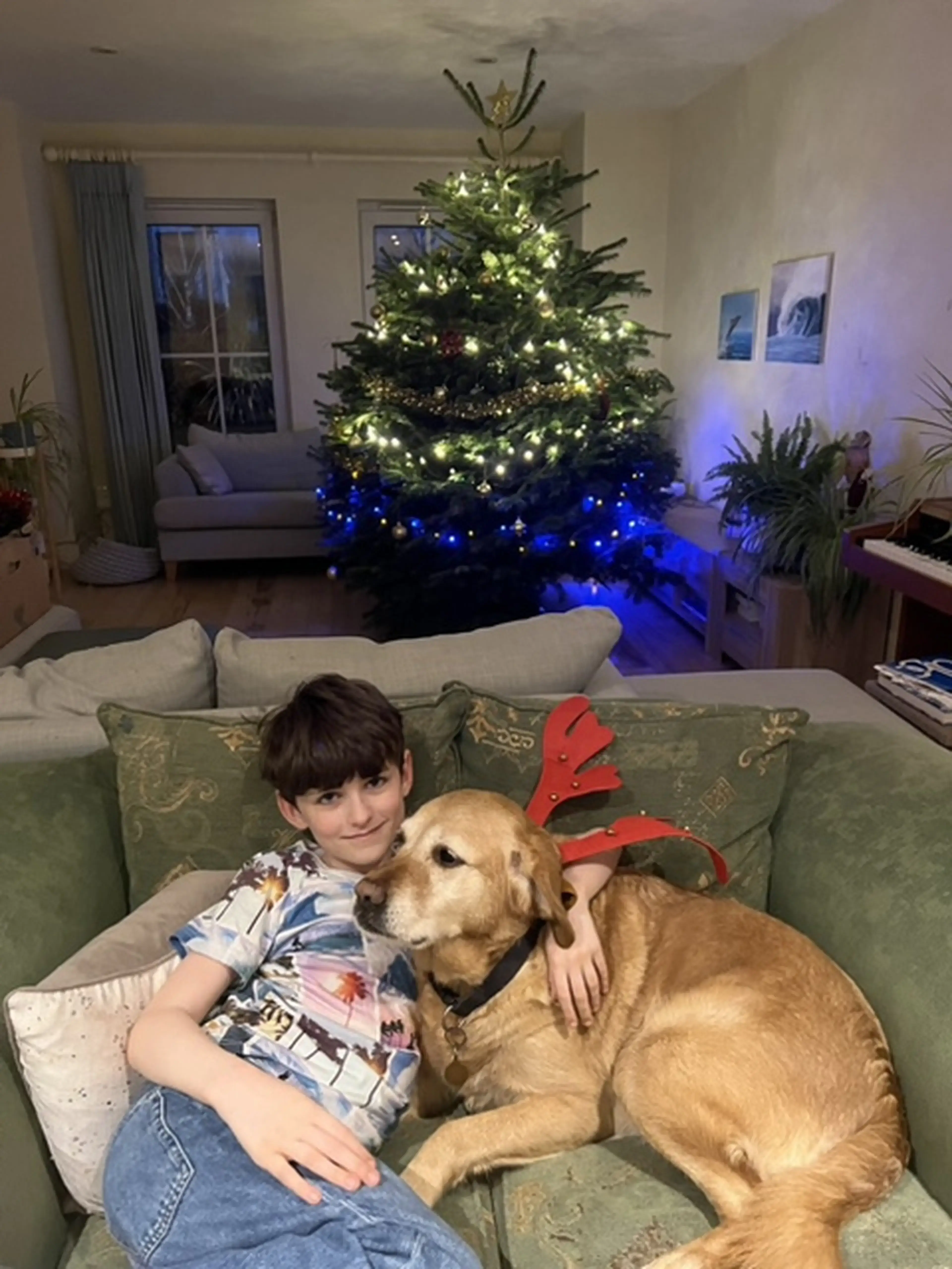 A young boy sits on a green couch with a golden retriever wearing red reindeer antlers, with a decorated Christmas tree illuminated with warm and blue lights in the background.