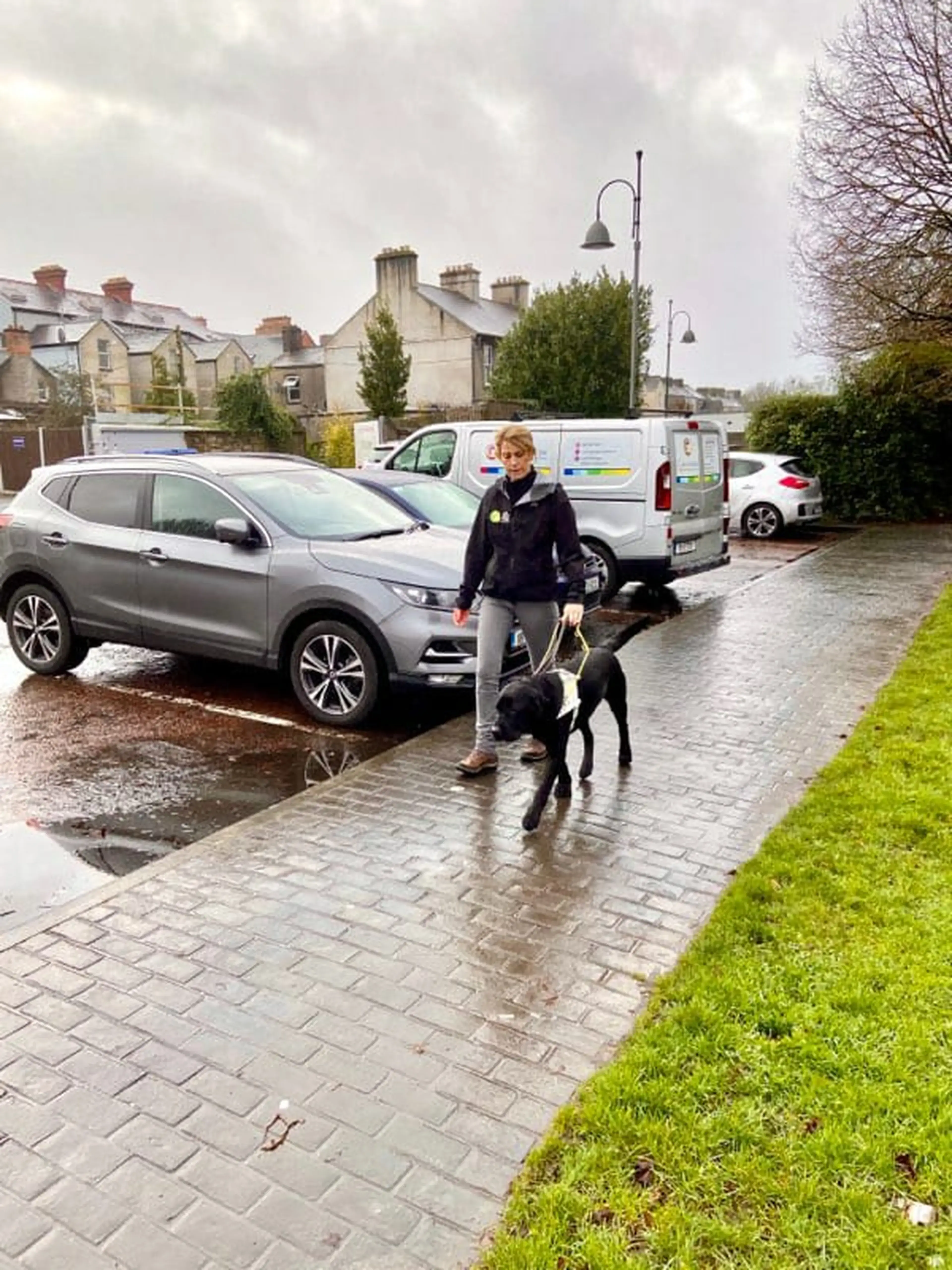 A person walks a black dog on a wet driveway in front of parked vehicles and Victorian-style houses on an overcast day.