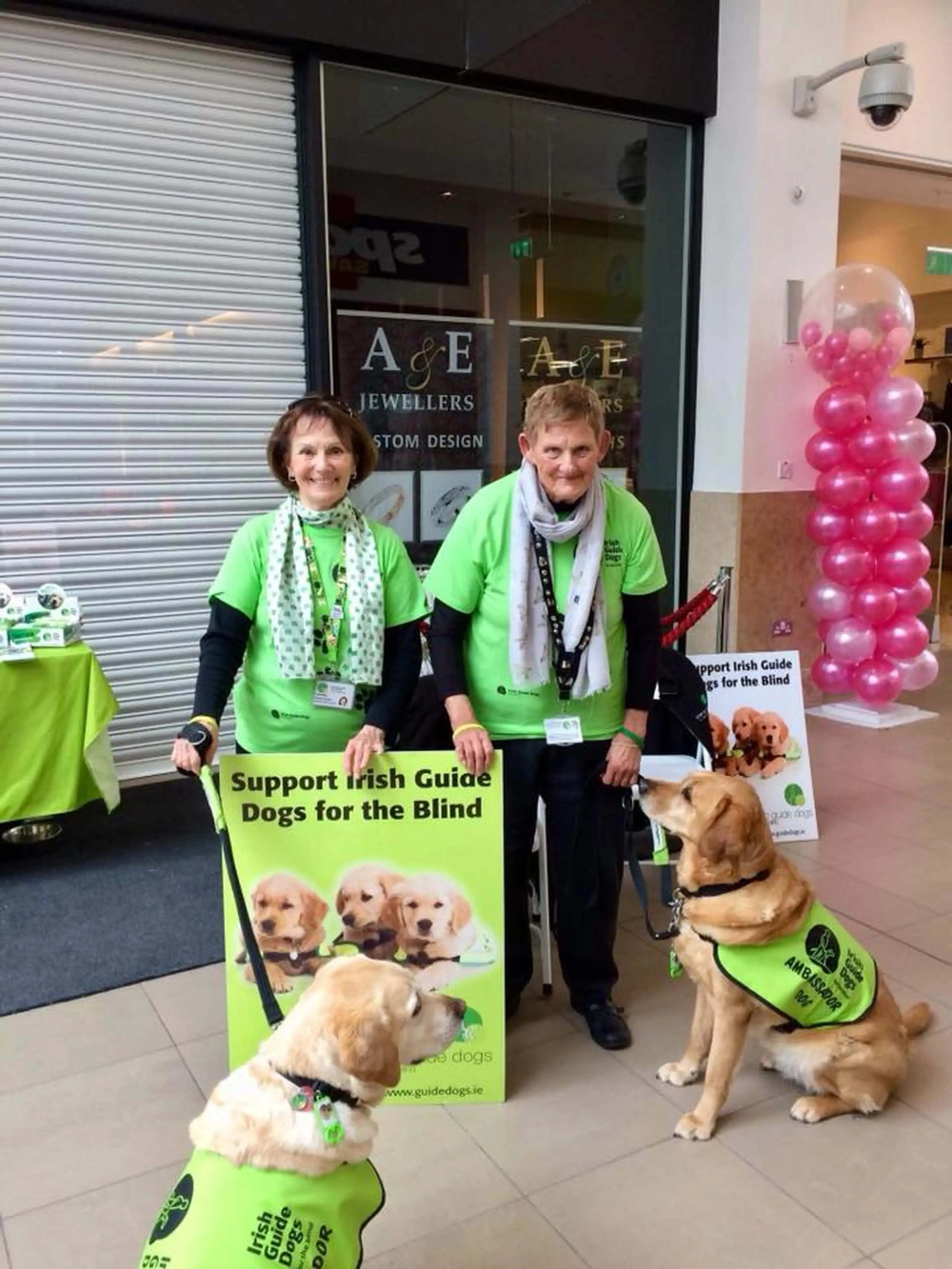 Two volunteers in bright green shirts stand with two guide dogs wearing matching vests in front of an A&E Jewellers storefront, promoting Irish Guide Dogs for the Blind with inform
