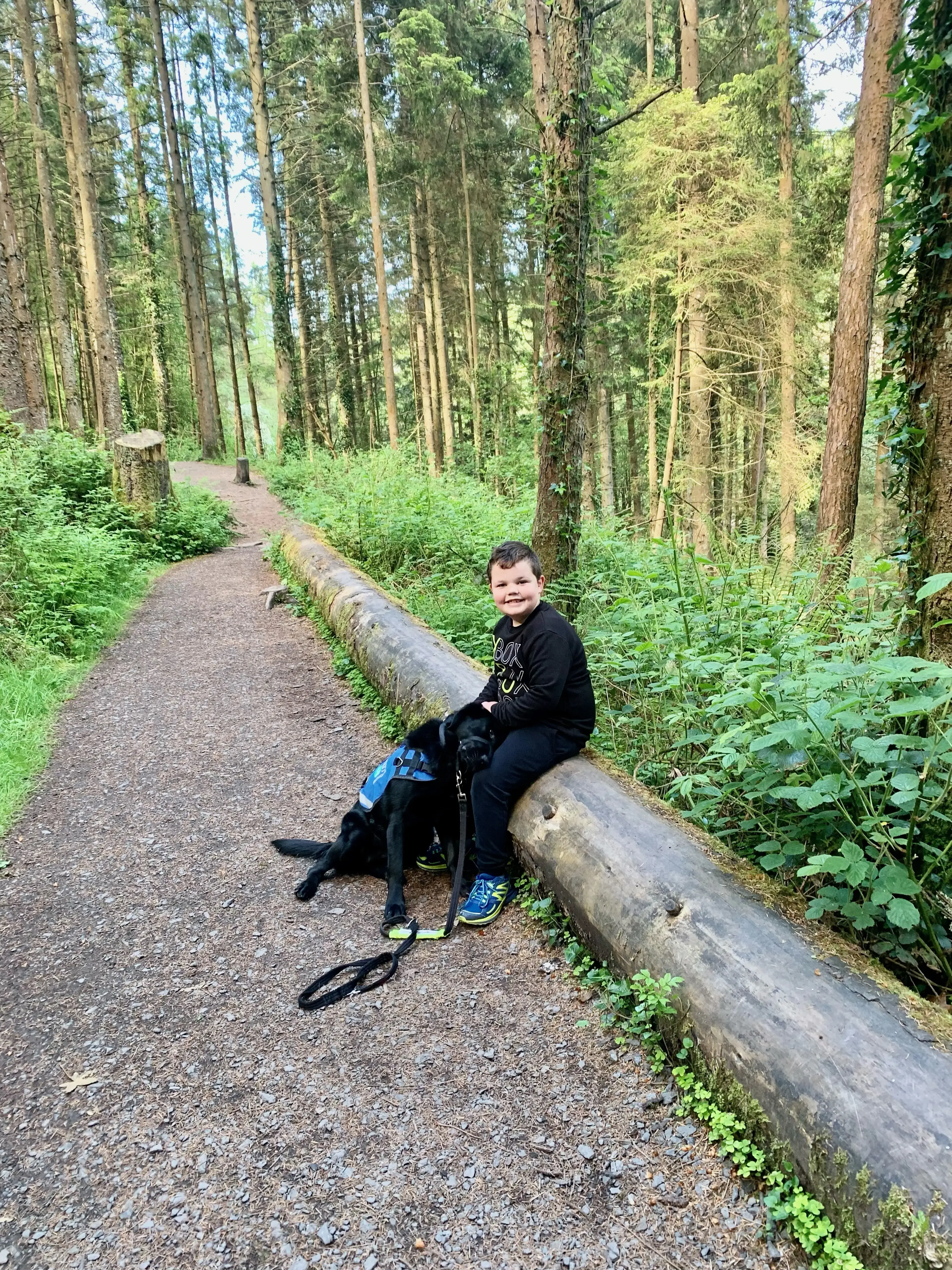 A young child sits on a moss-covered fallen log on a forest trail, smiling at the camera while holding the leash of a black dog wearing a blue harness.