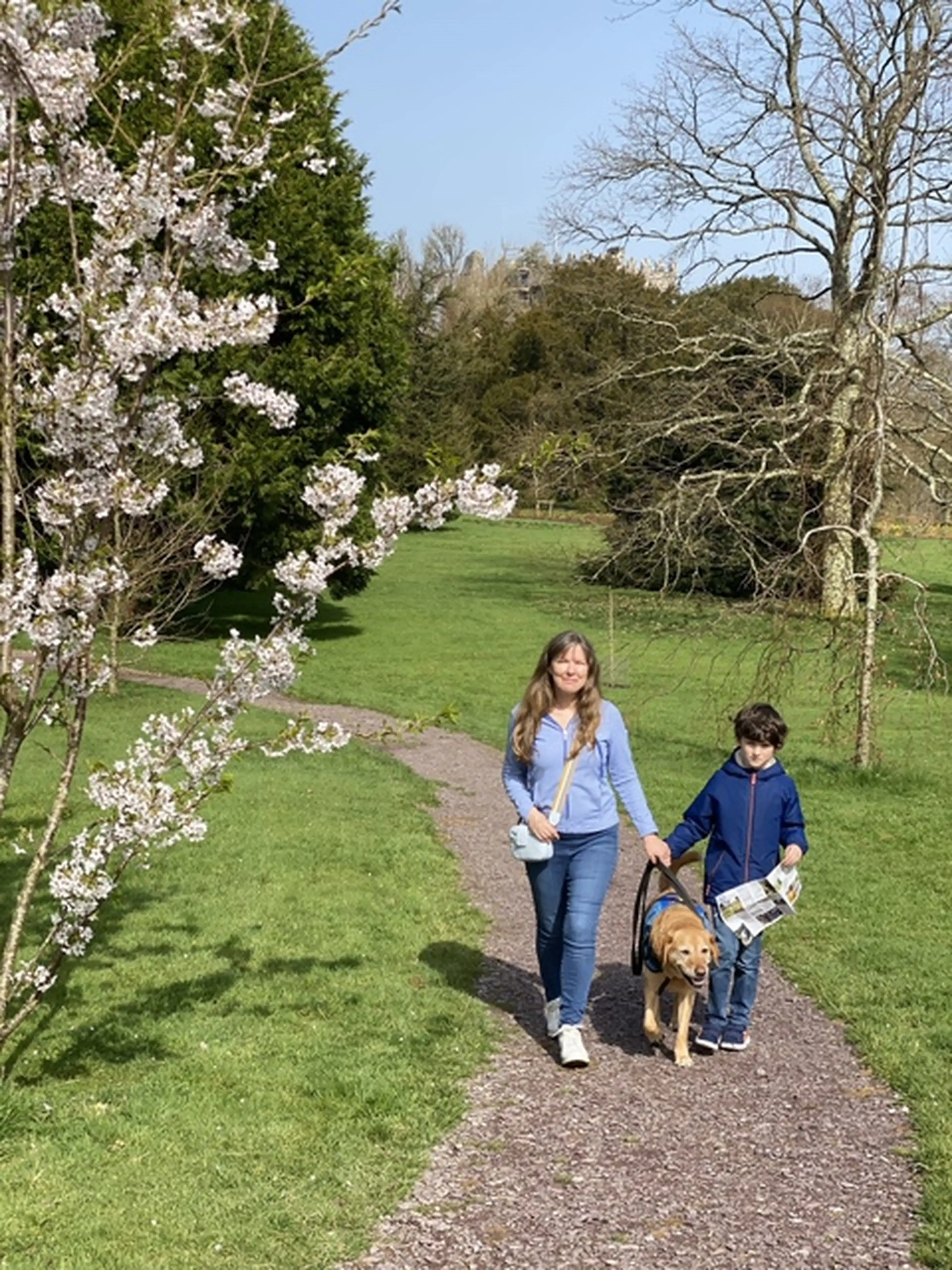 A woman and child walk a golden retriever along a tree-lined path in spring, with white flowering trees blooming on either side.