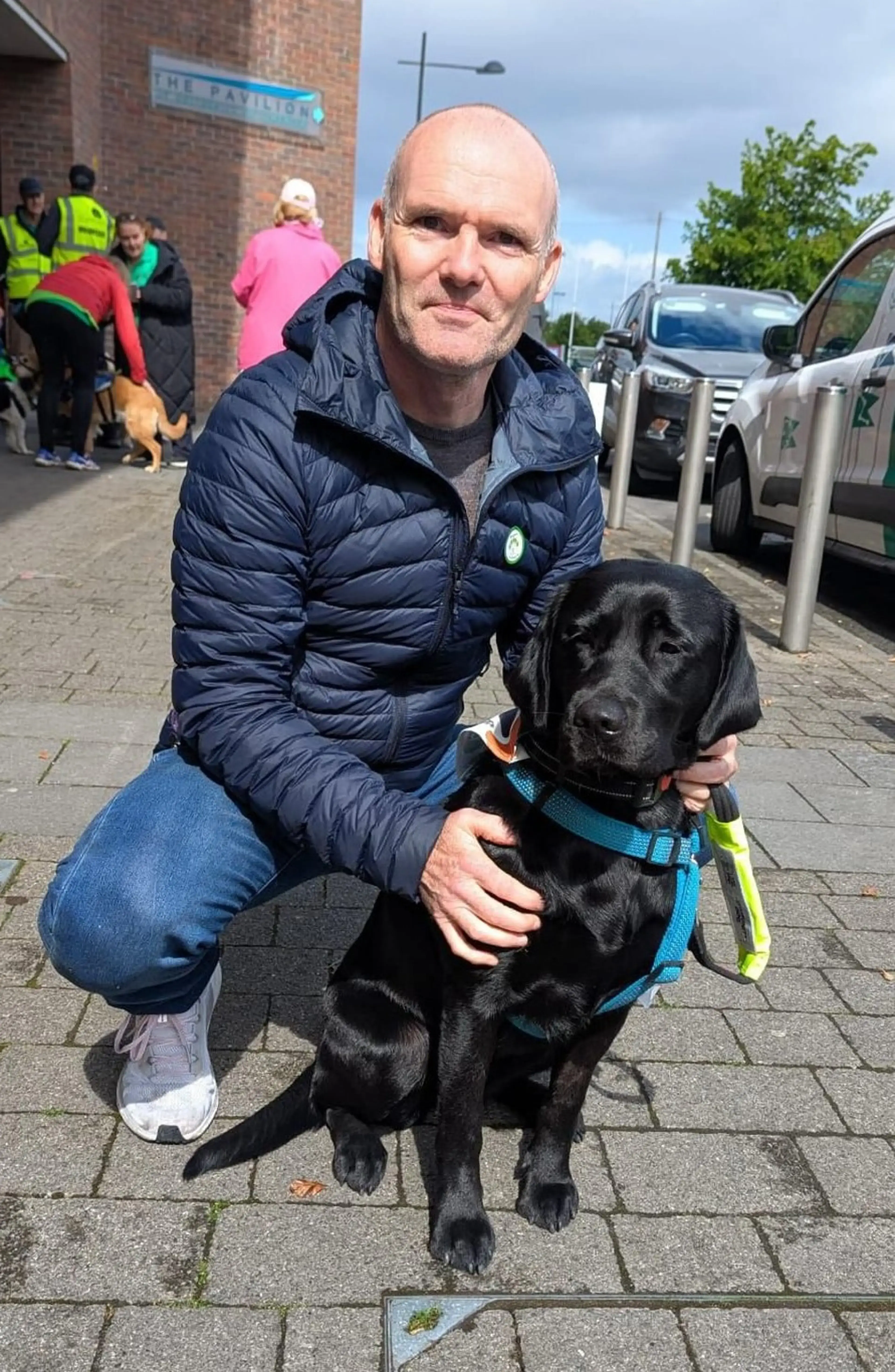 A man in a navy puffer jacket crouches beside a black Labrador Retriever wearing a blue harness on a brick-paved street, with parked cars and other people visible in the background