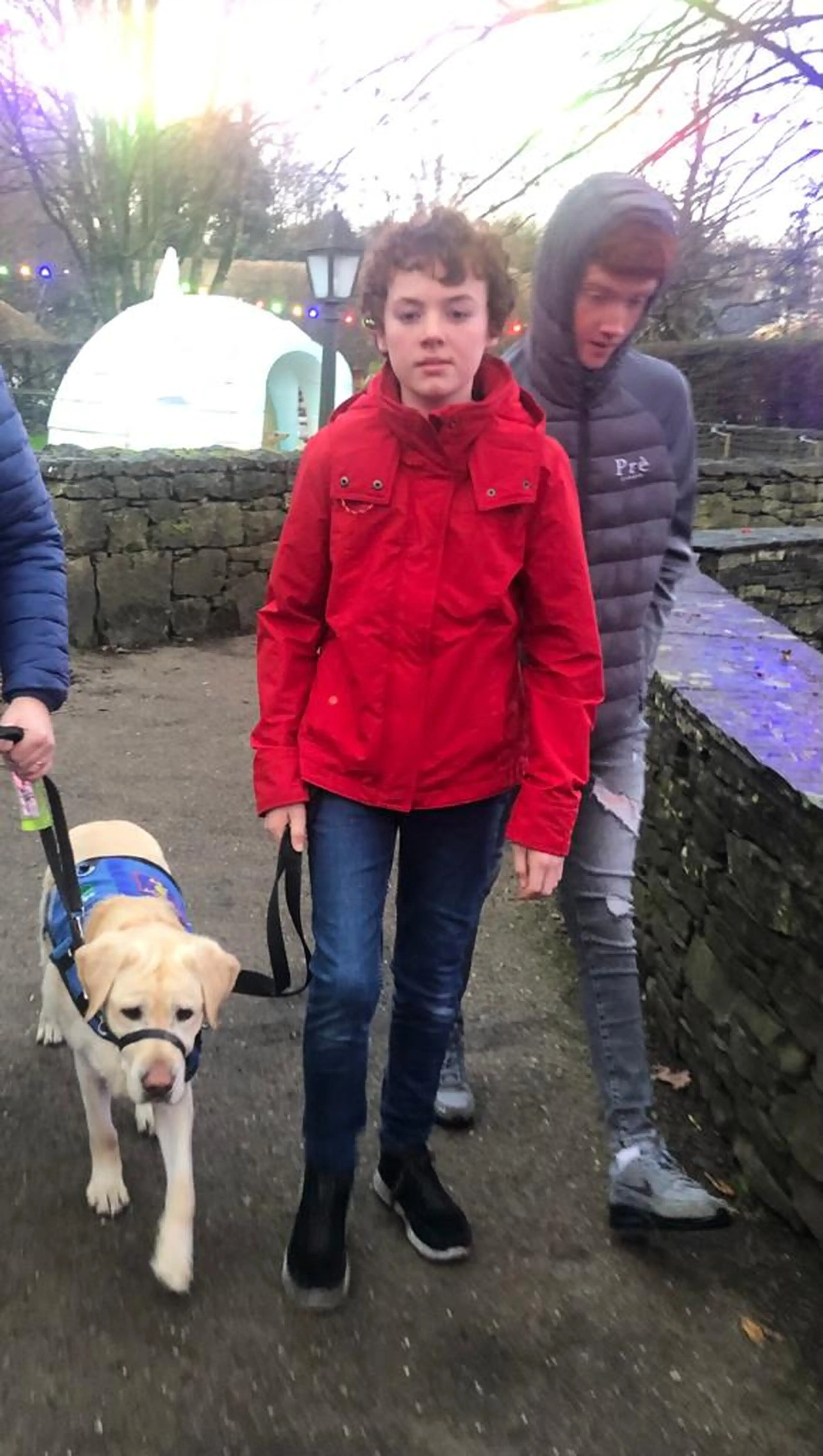 Three children walk with a yellow Labrador dog on a leash through a park pathway lined with stone walls, dressed in winter jackets.