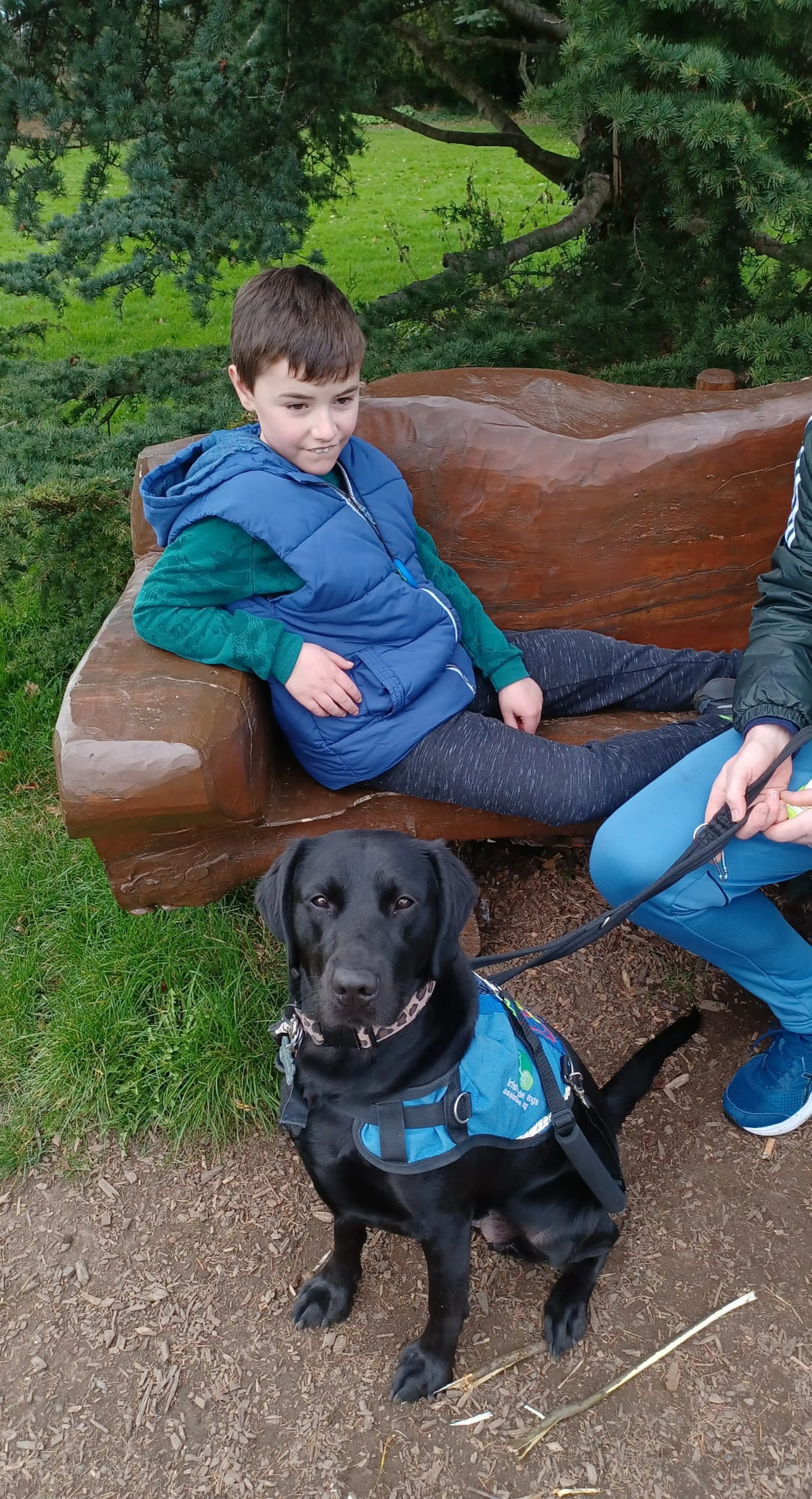 A young boy in a blue jacket sits on a wooden log bench next to a black Labrador service dog wearing a blue harness, with lush green grass and trees in the background.