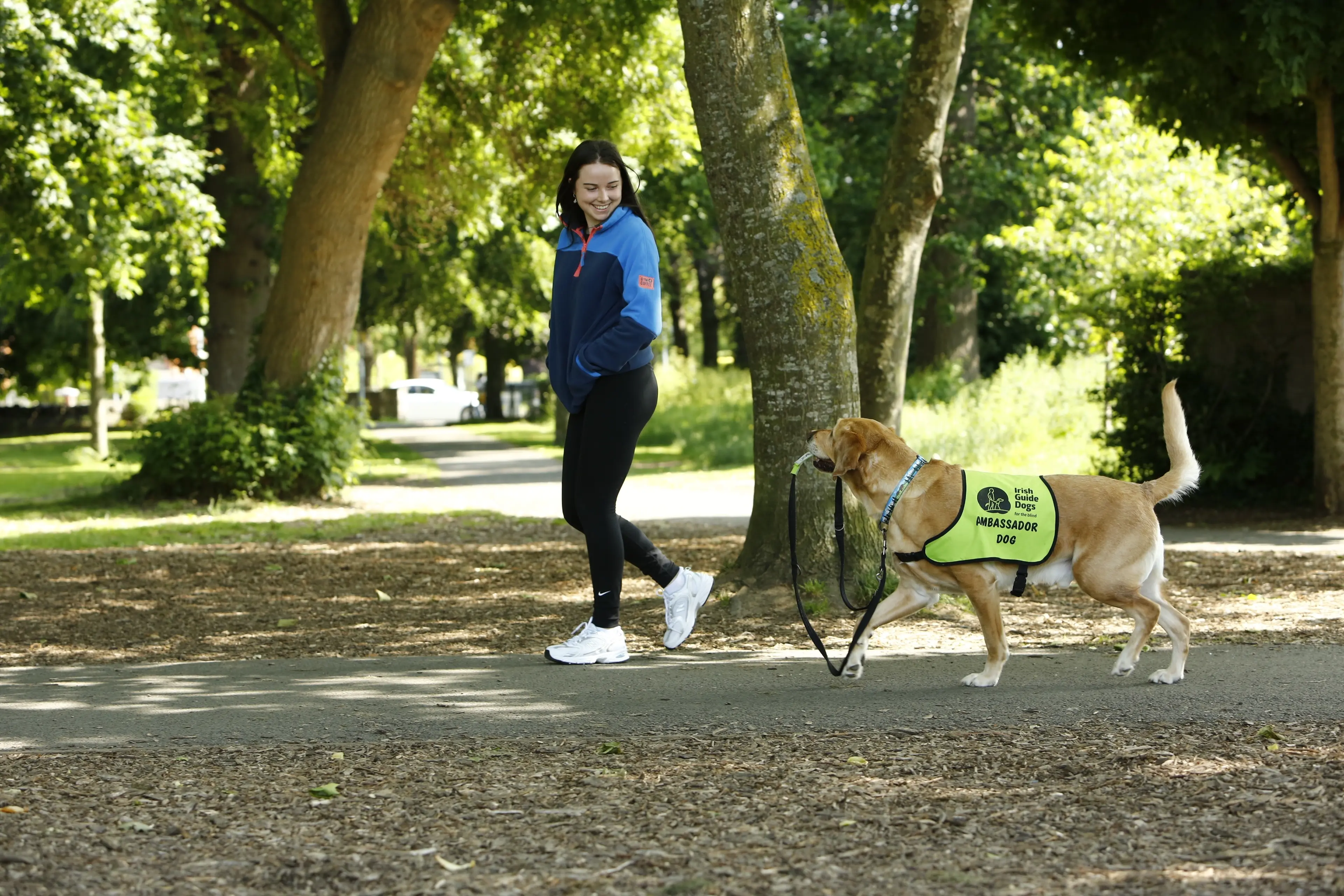 A young woman jogging with a brown guide dog wearing an Irish Guide Dogs Ambassador Dog vest on a tree-lined path.