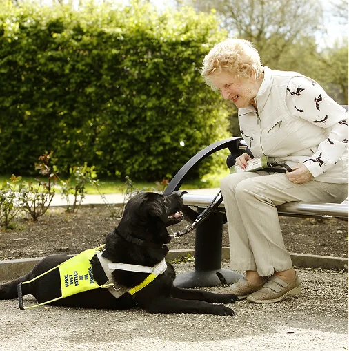 An elderly woman with blonde hair sits on a bench in a garden, smiling while interacting with a black service dog wearing a yellow and black vest.