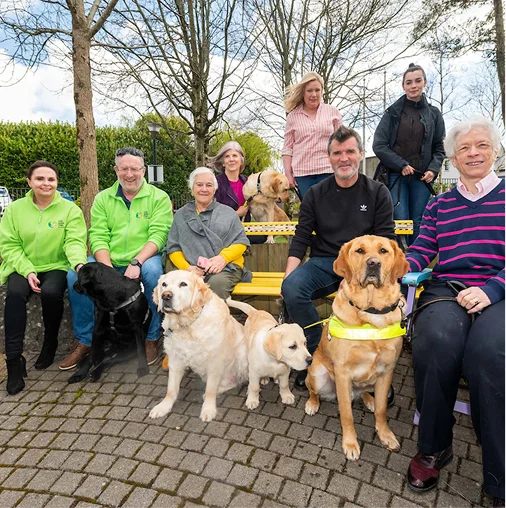 A group of people of various ages pose together outdoors with several service dogs wearing yellow vests, seated and standing in front of bare trees.