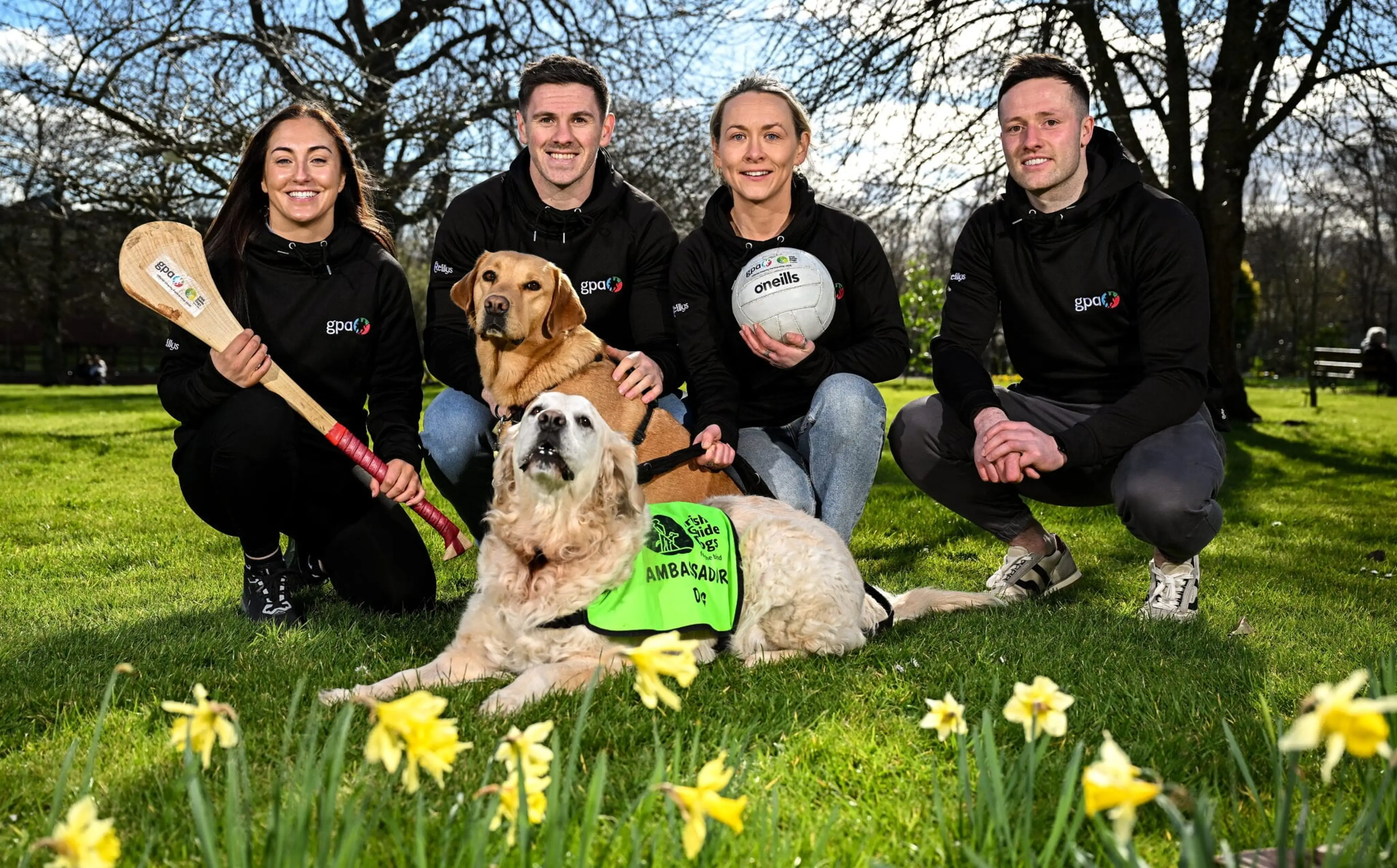 A group of four people, two men and two women, sitting on the grass in a park surrounded by daffodils, with two golden retriever dogs. They are all wearing black tops with the logo