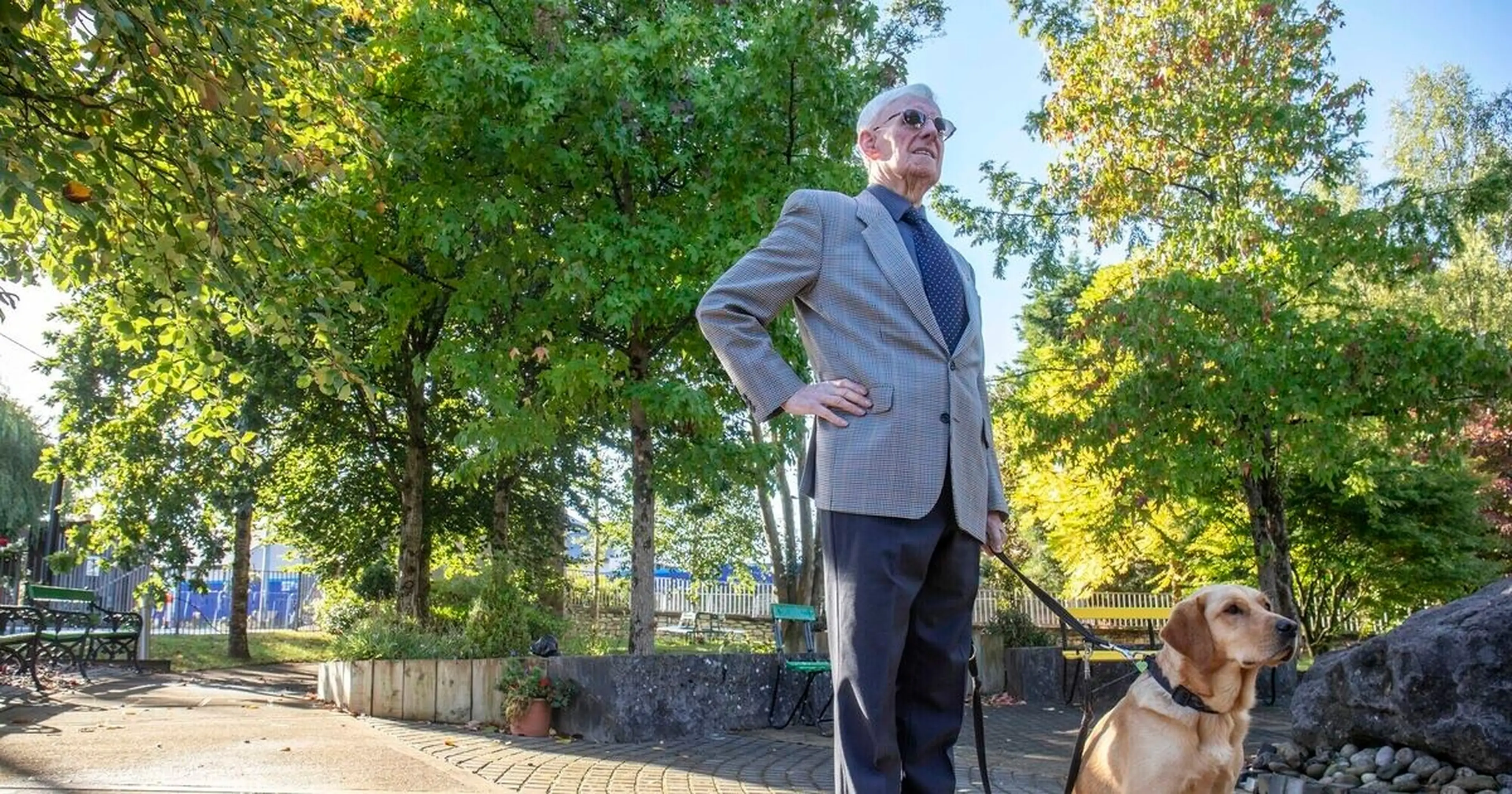 An elderly gentleman in a gray checked suit and sunglasses is standing in a park, with a yellow Labrador retriever at his side.