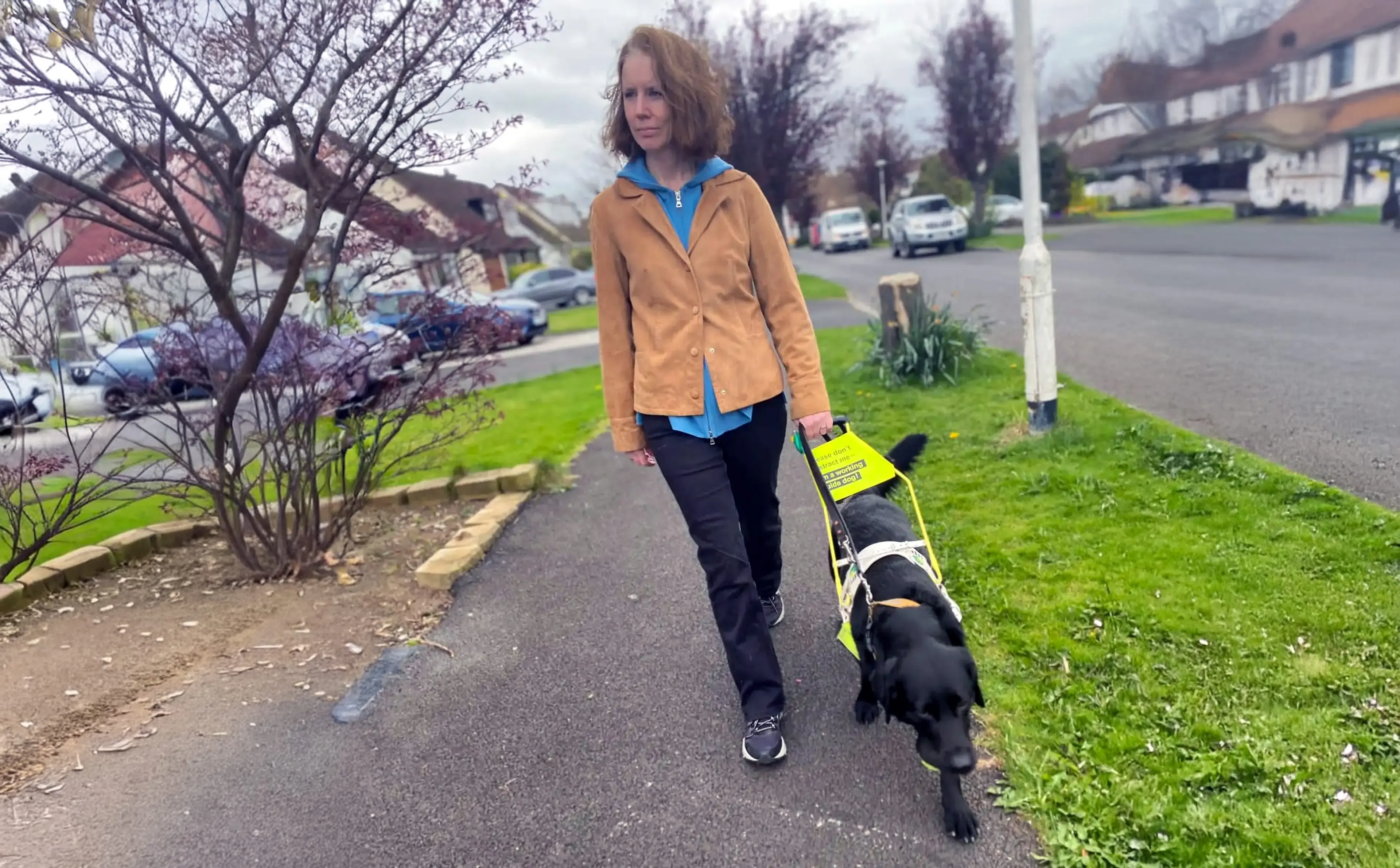 A woman in a tan jacket and blue hood walks a black dog on a leash down a residential street lined with grass and bare trees.