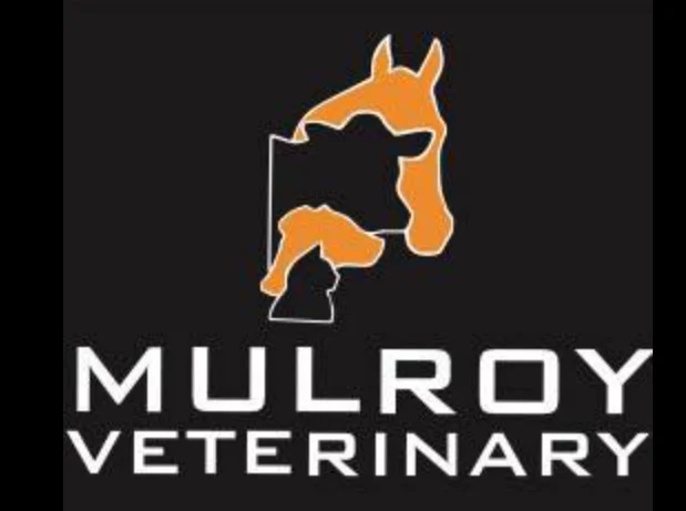Mulroy Vets
