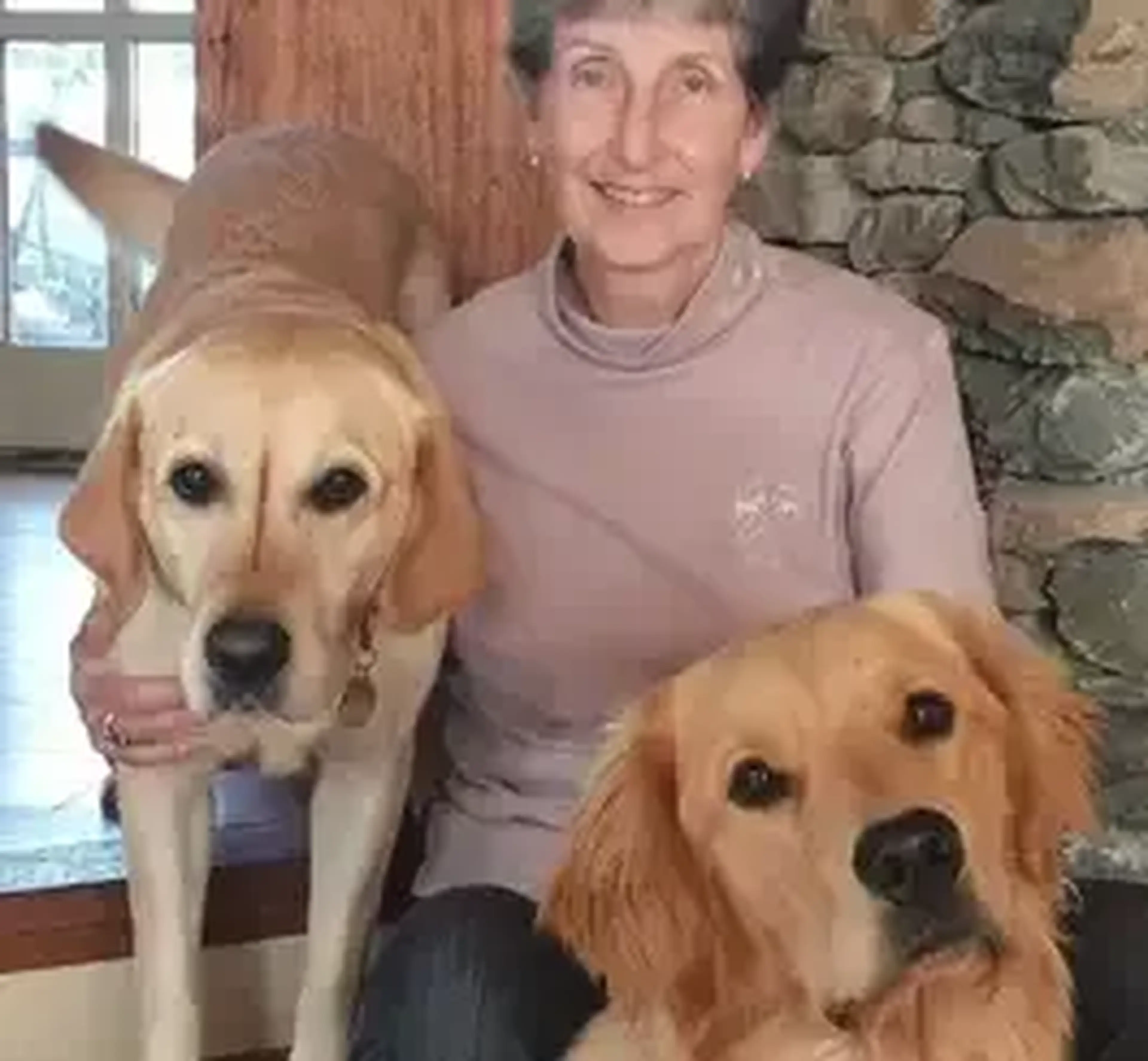 A smiling woman in a pink sweater poses indoors with two golden Labrador retrievers, one on each side of her.